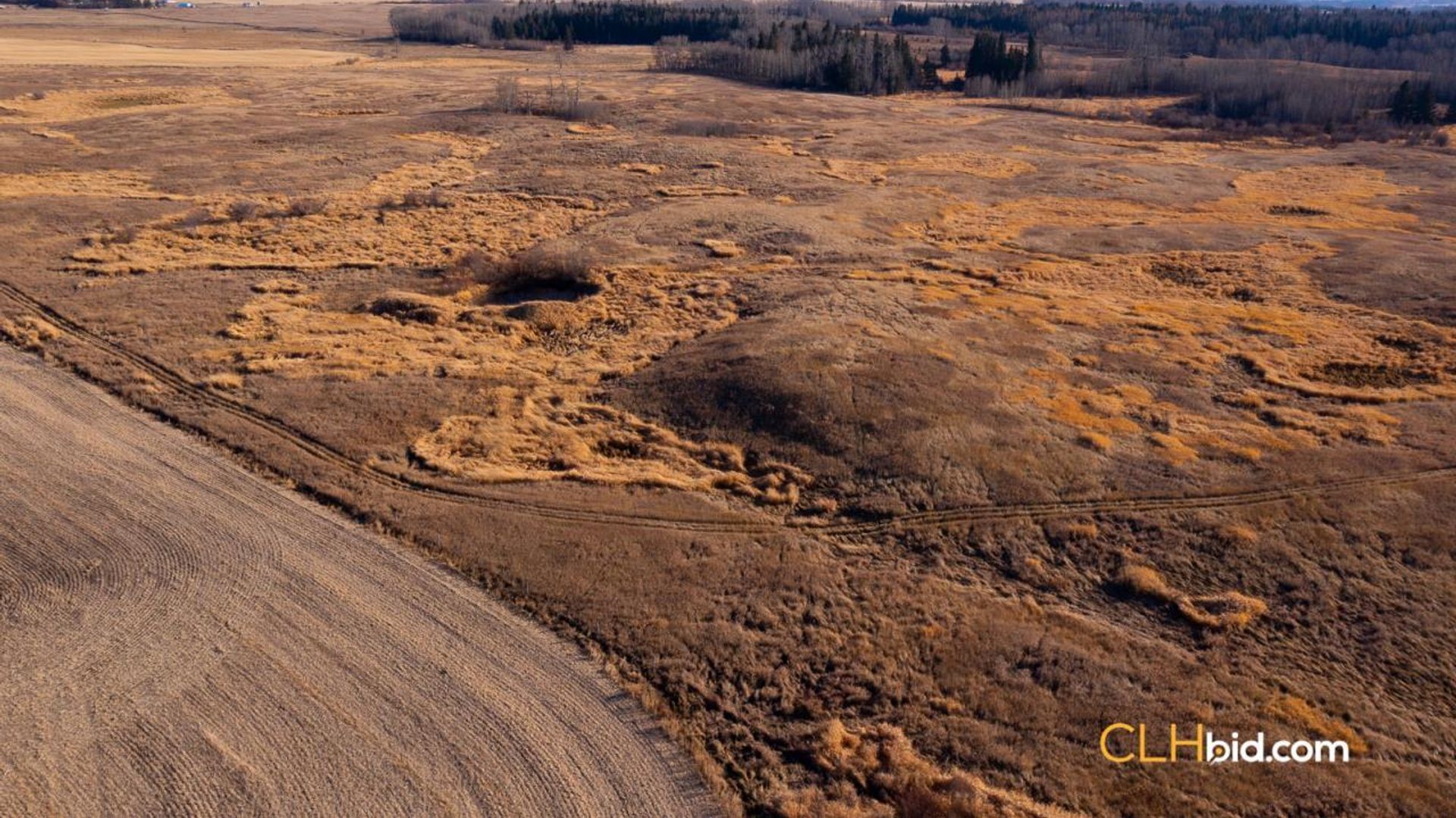 bentleycontinentalv8-2-11