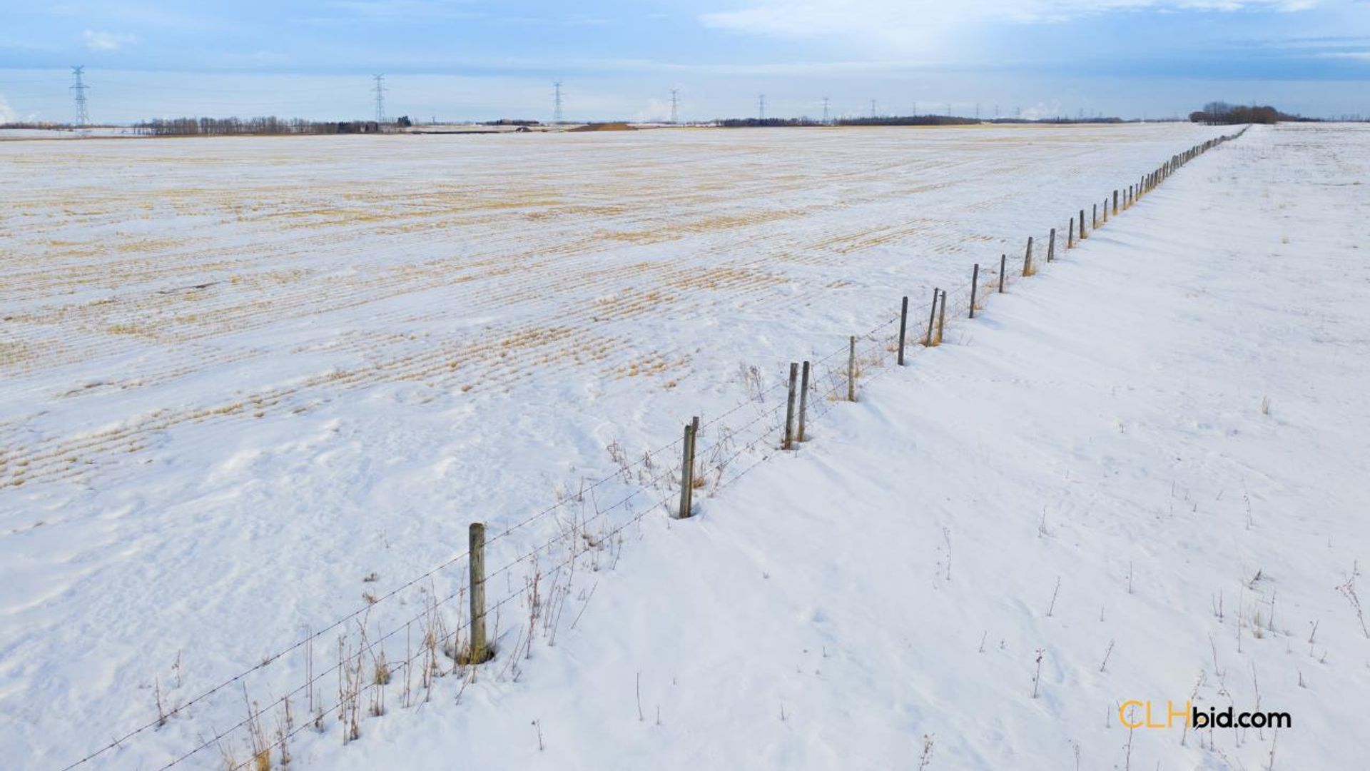 emeraldatgibbons-1-9