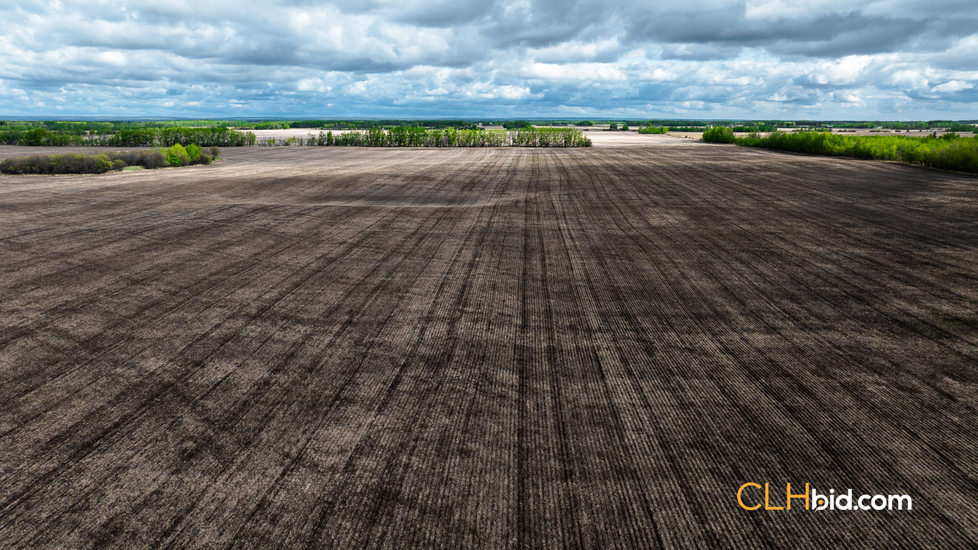 Web Brownvale Spring-8