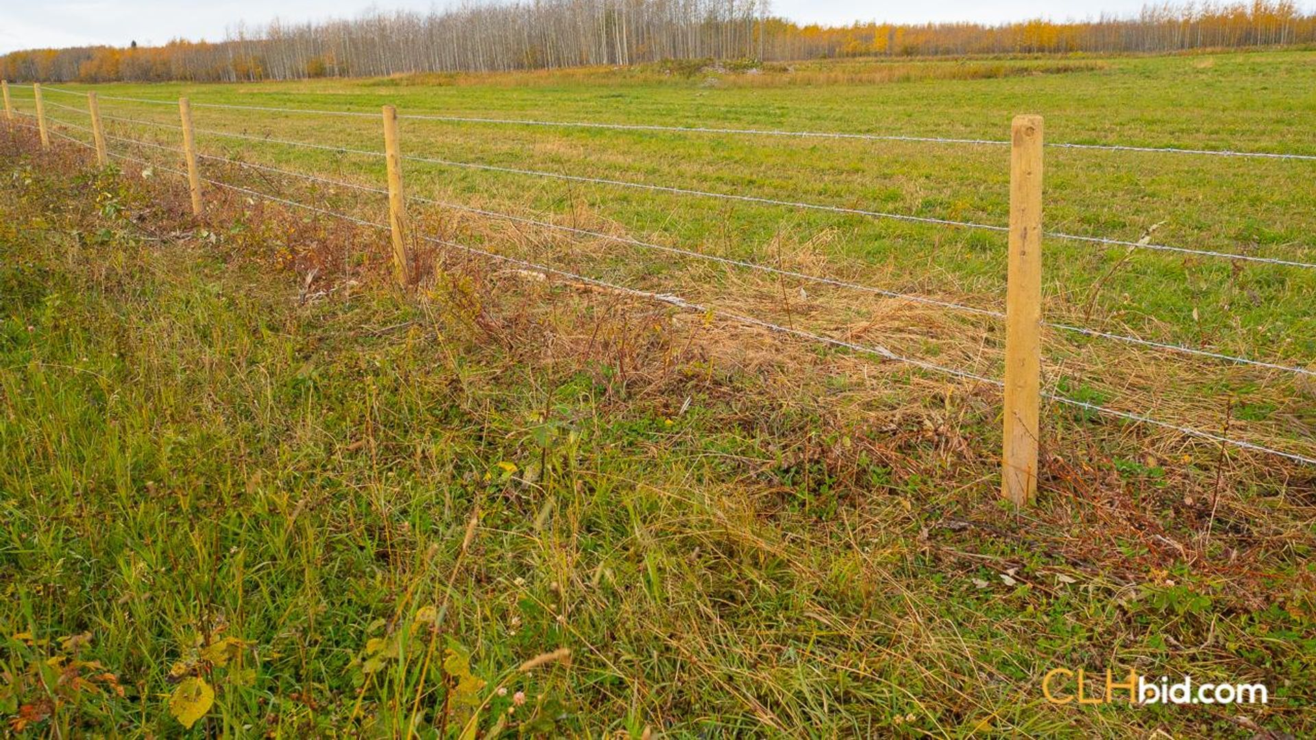 theranchonbradenroad-1-13