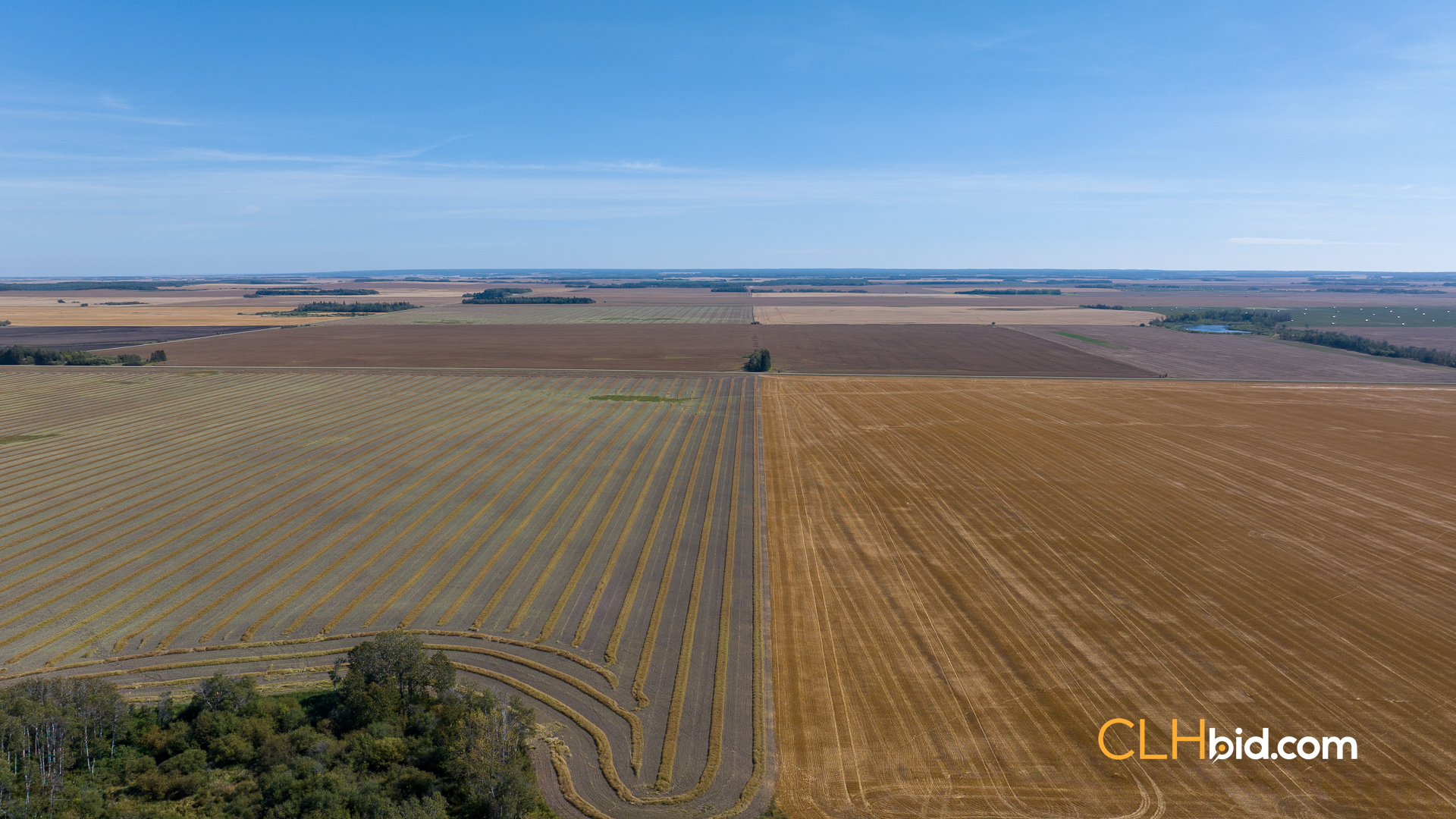 Web-Tisdale-Titan-11