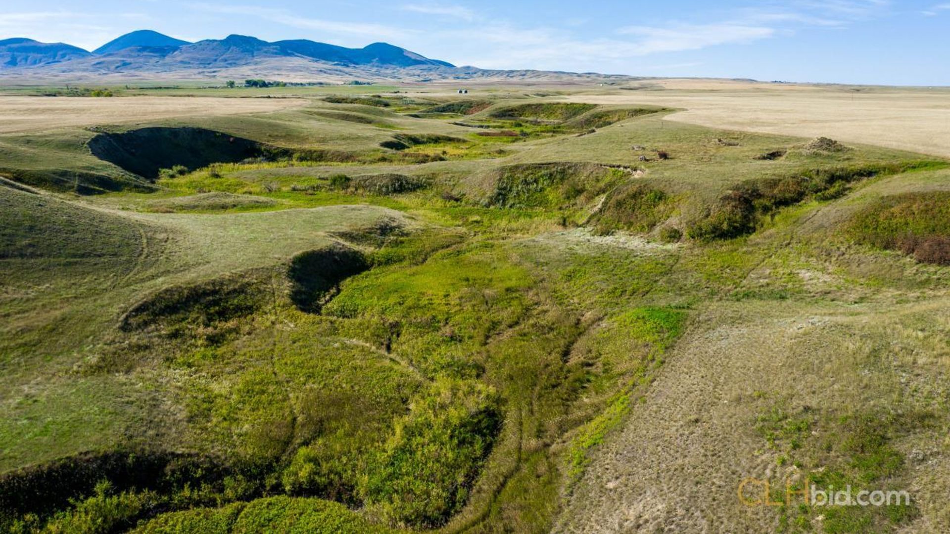 shadowsofthesweetgrasshills-7-5