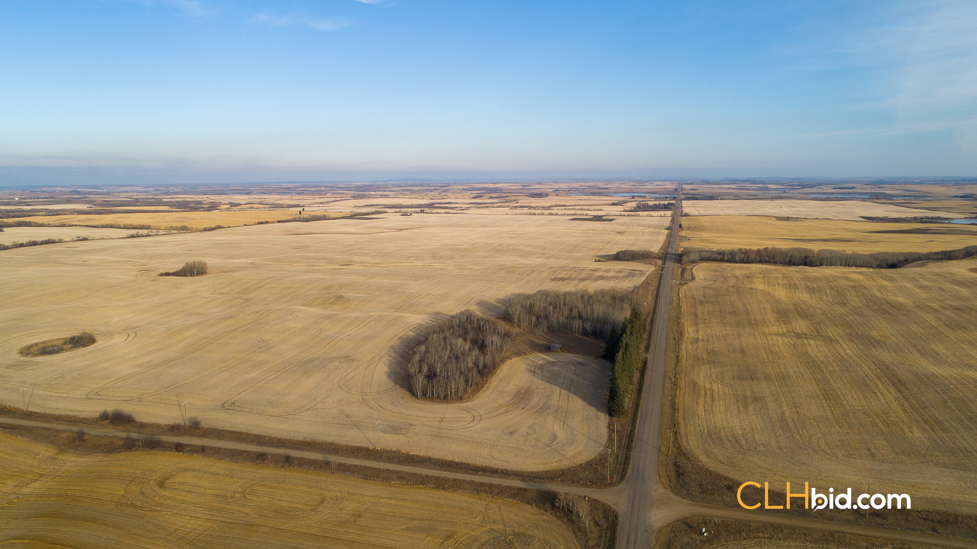 Web-Nine-Of-Diamonds-33