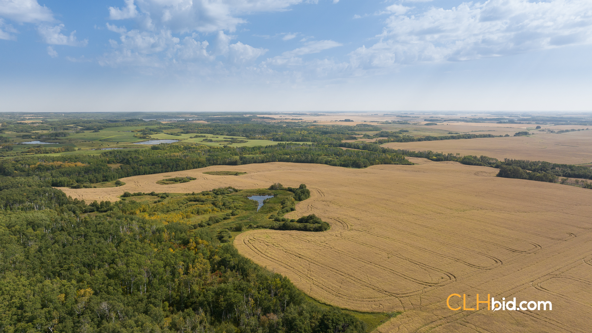 Web-RossburnPrimary-15