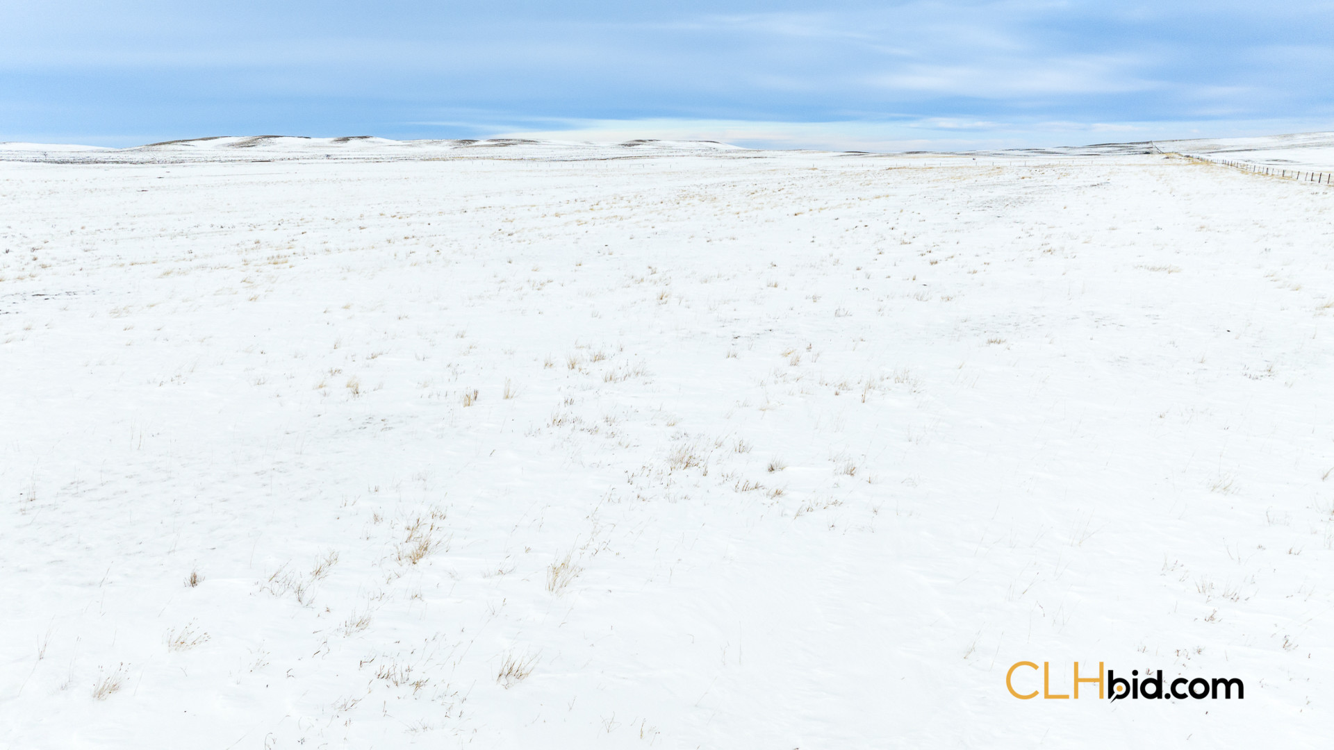 Web169-AcresOfPedigree-5