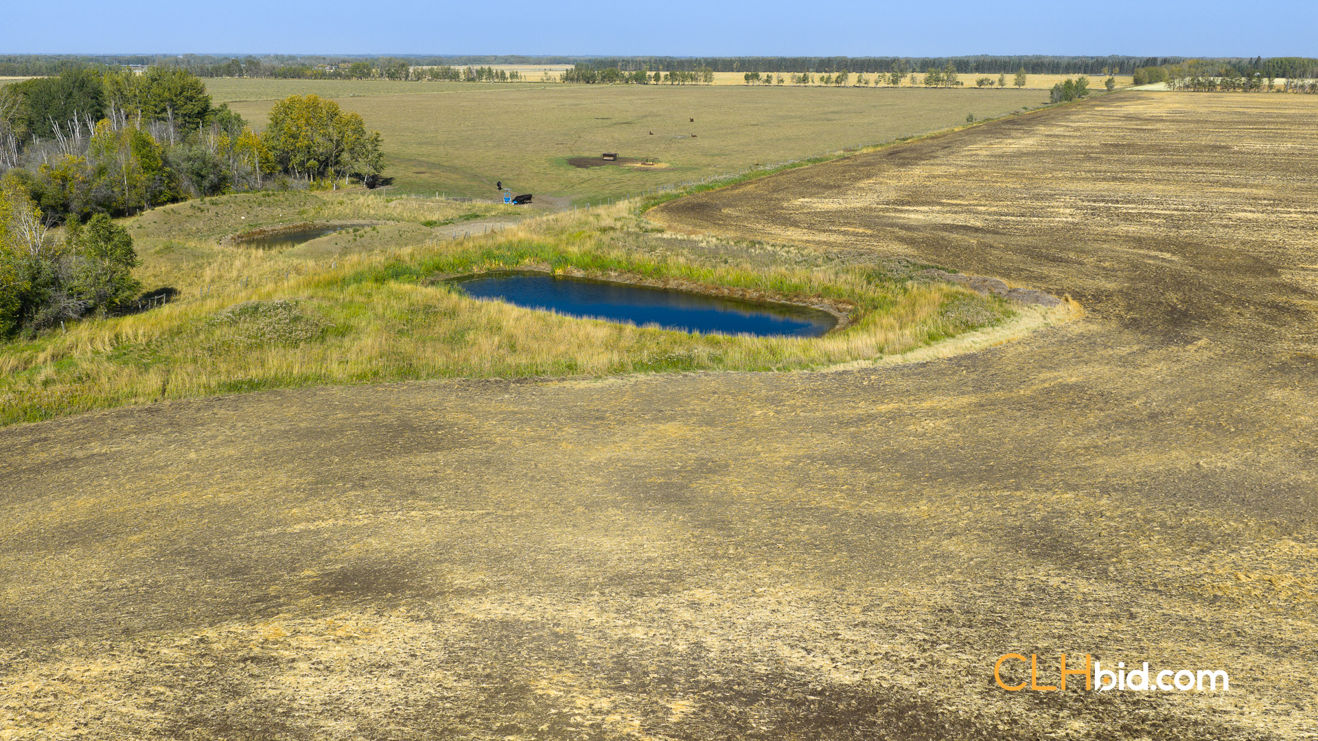 Web-WestlockUnlocked-15