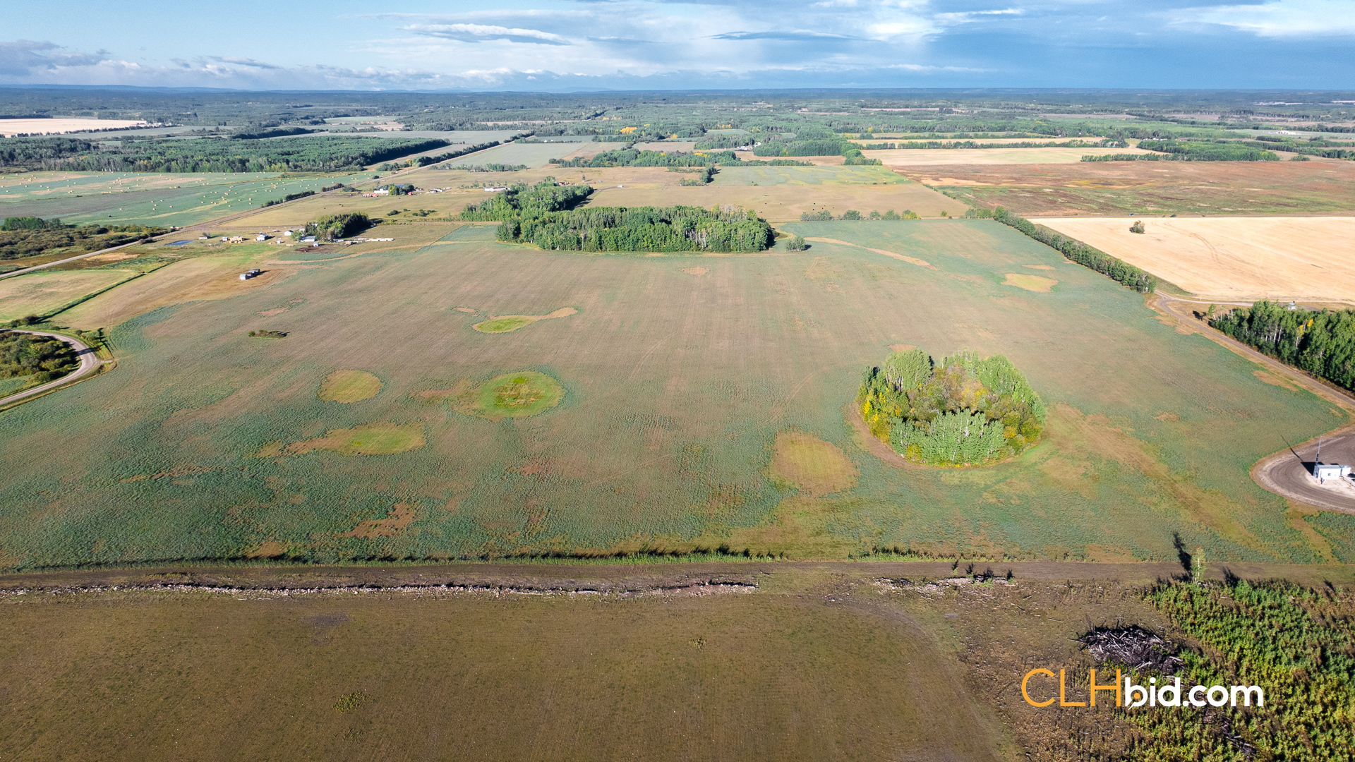 Web Premium Southwester-5