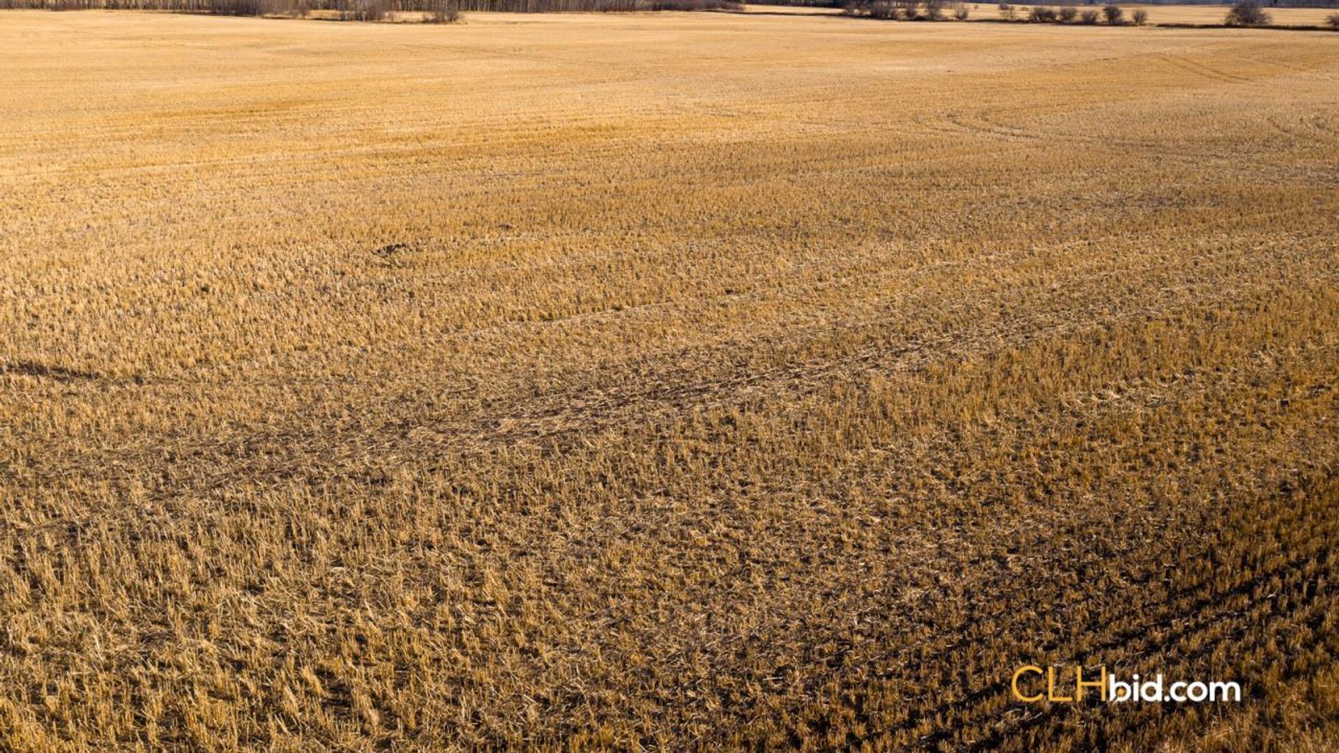 bentleycontinentalv8-5-6
