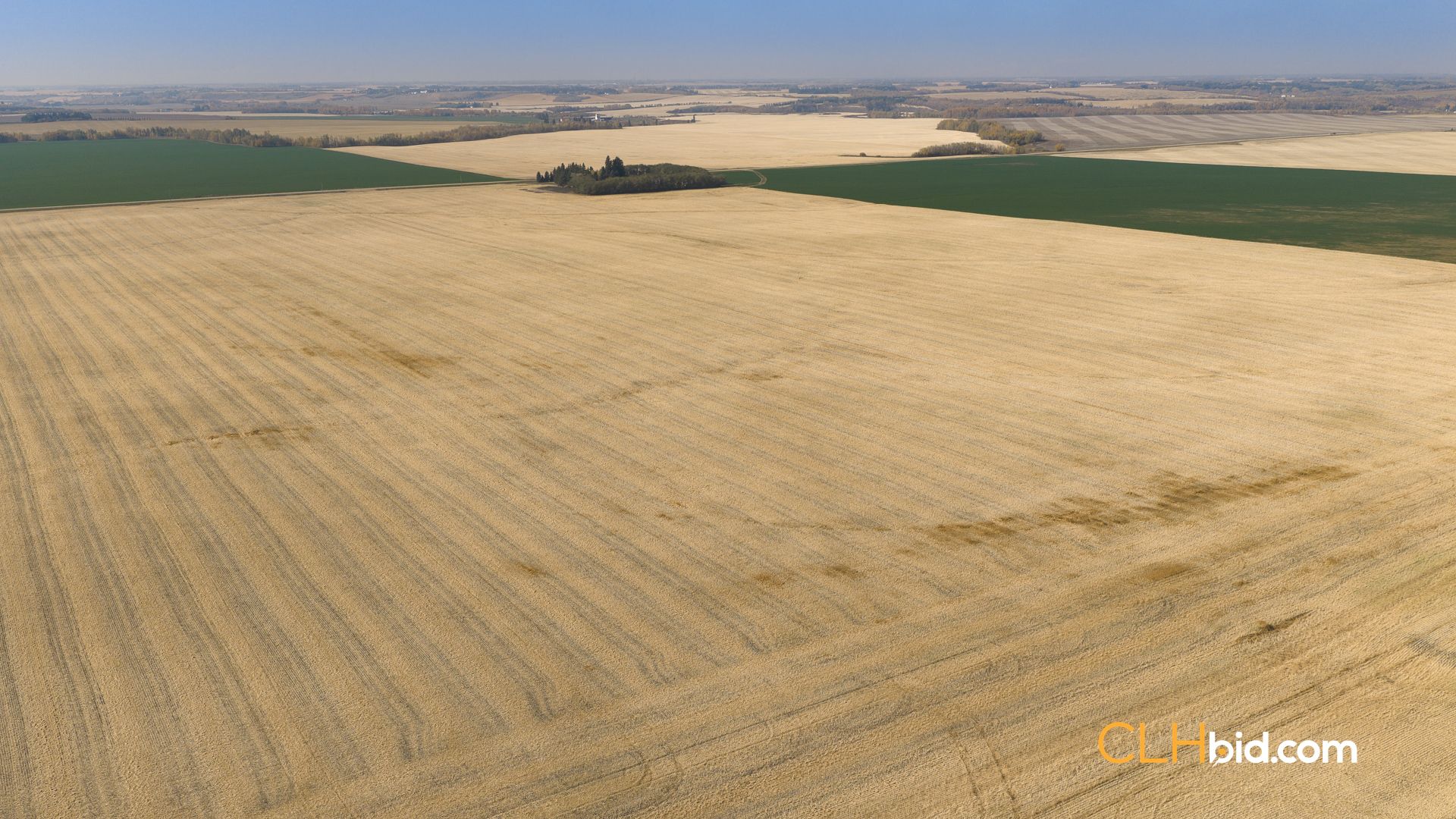 View from above of Cream Of The Crop