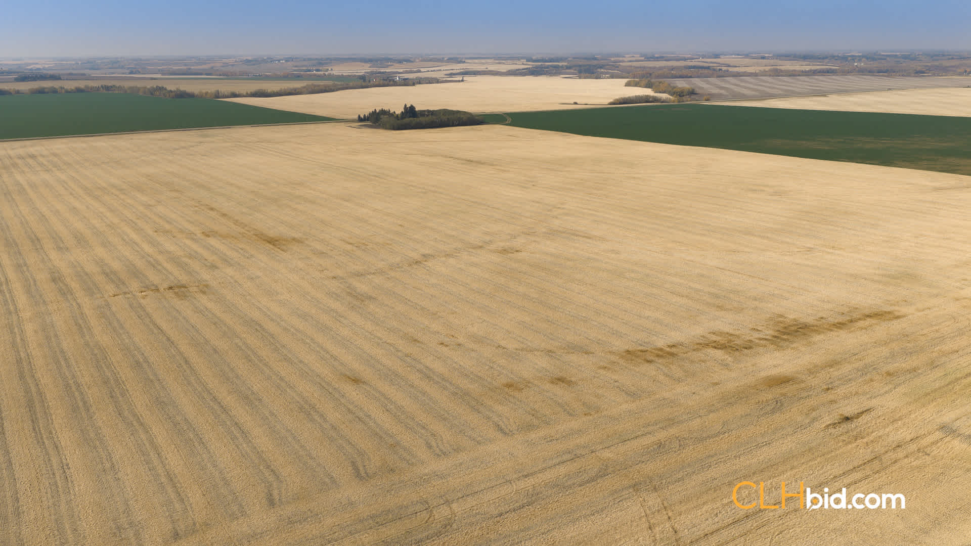 View from above of Cream Of The Crop