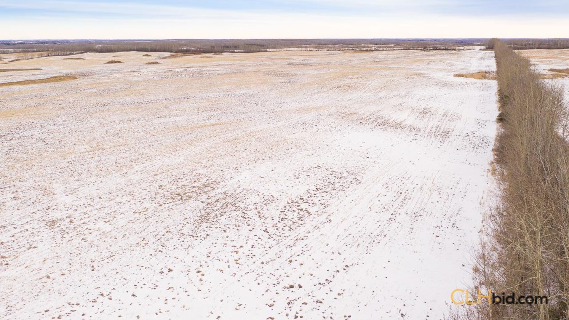 barrheadbigoptions-1-8