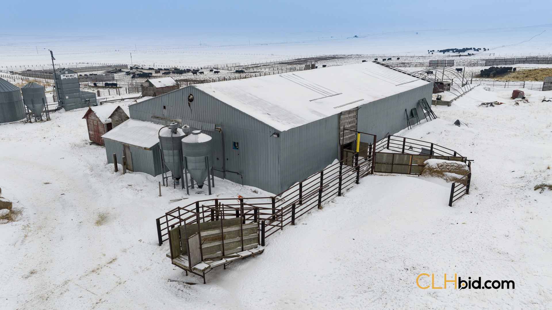 P1 Web169-AcresOfPedigree-45