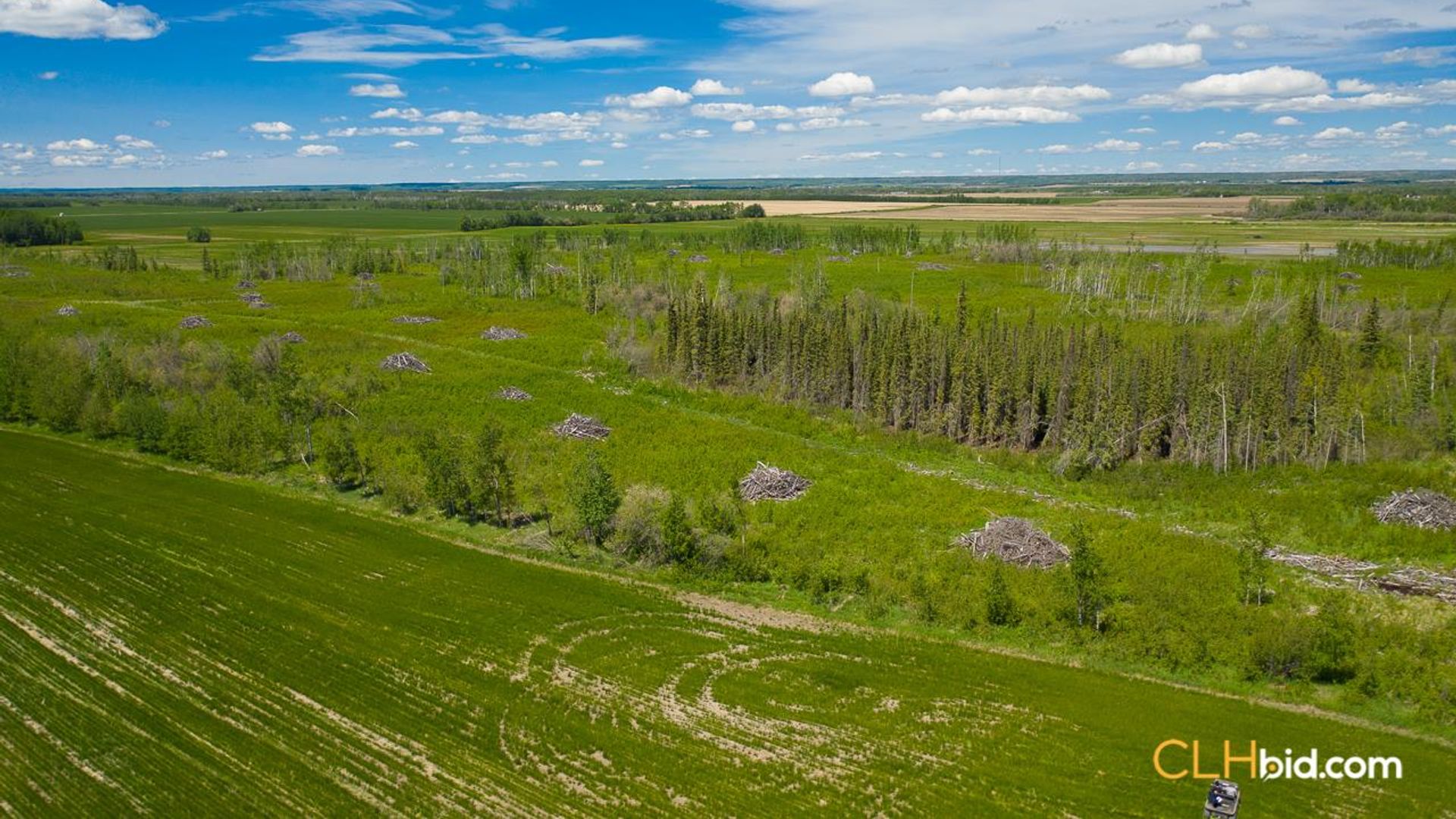 bigskymountainview-4-6