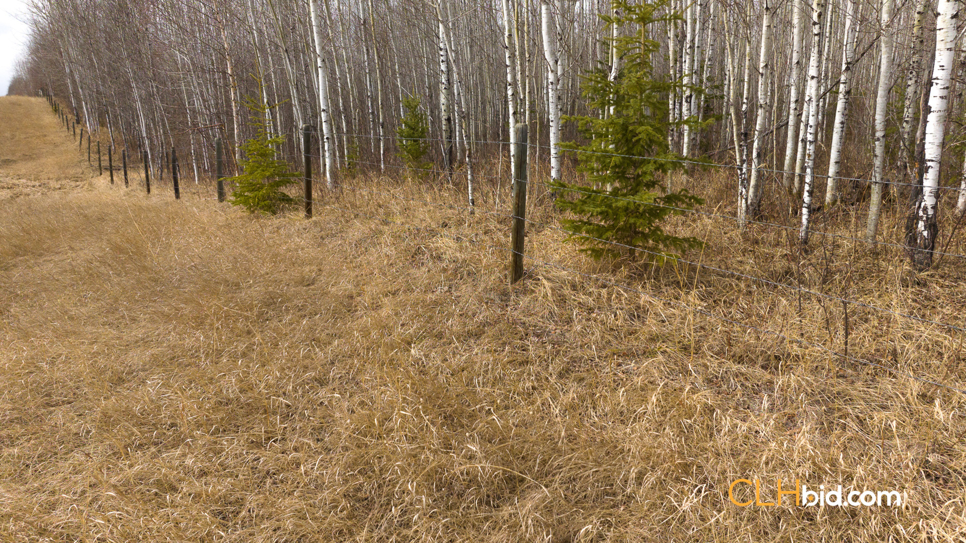 Web-RanchersChoice-2