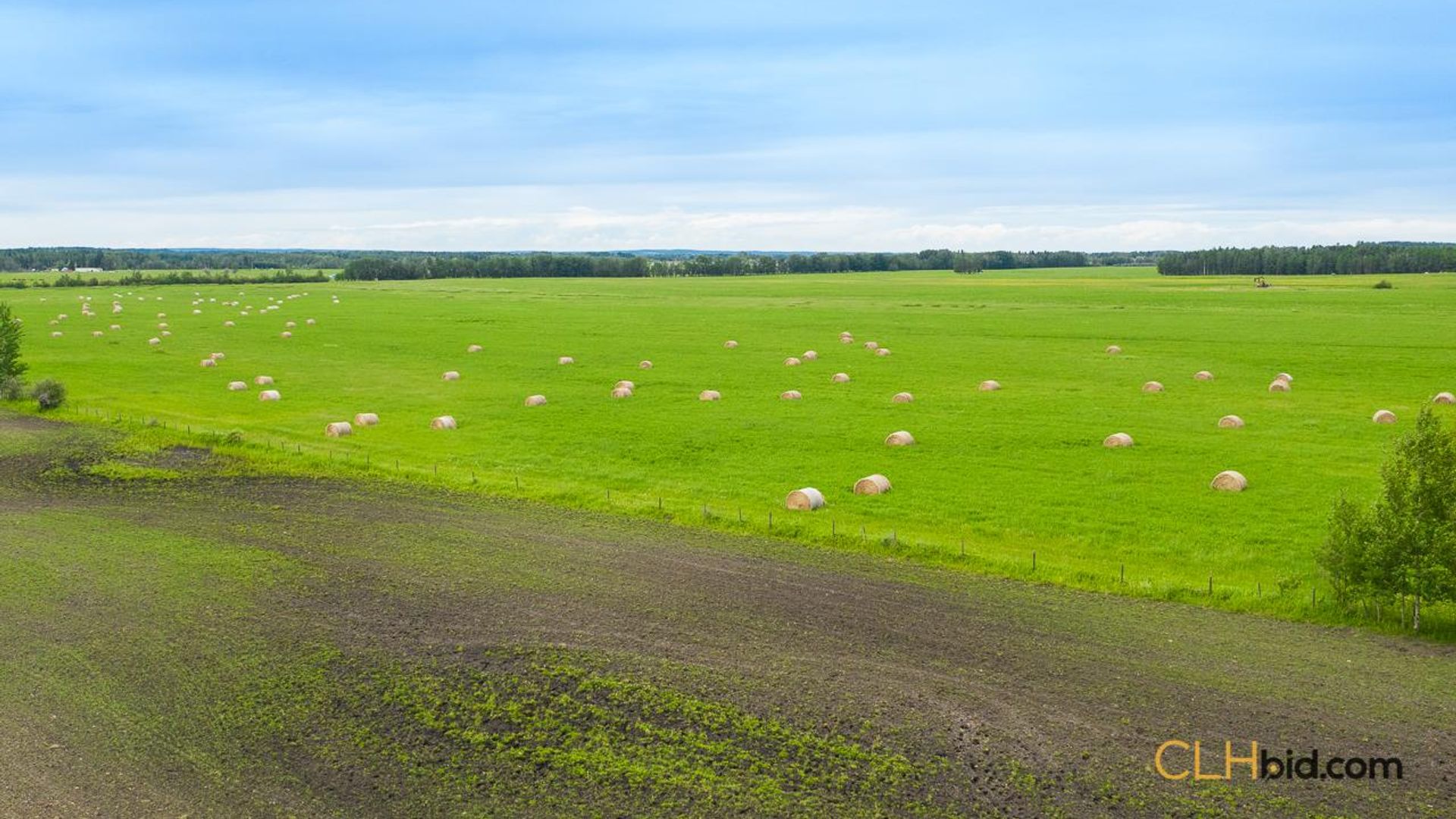 warburgdoubletree-1-9