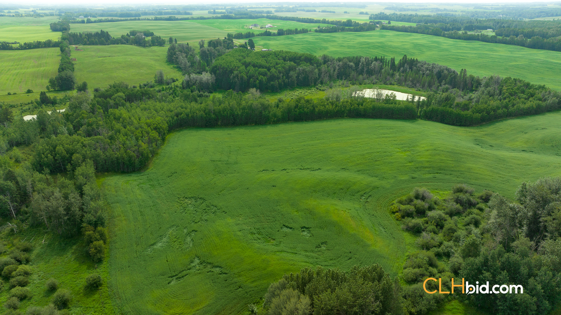 Web-CountryComfort-11