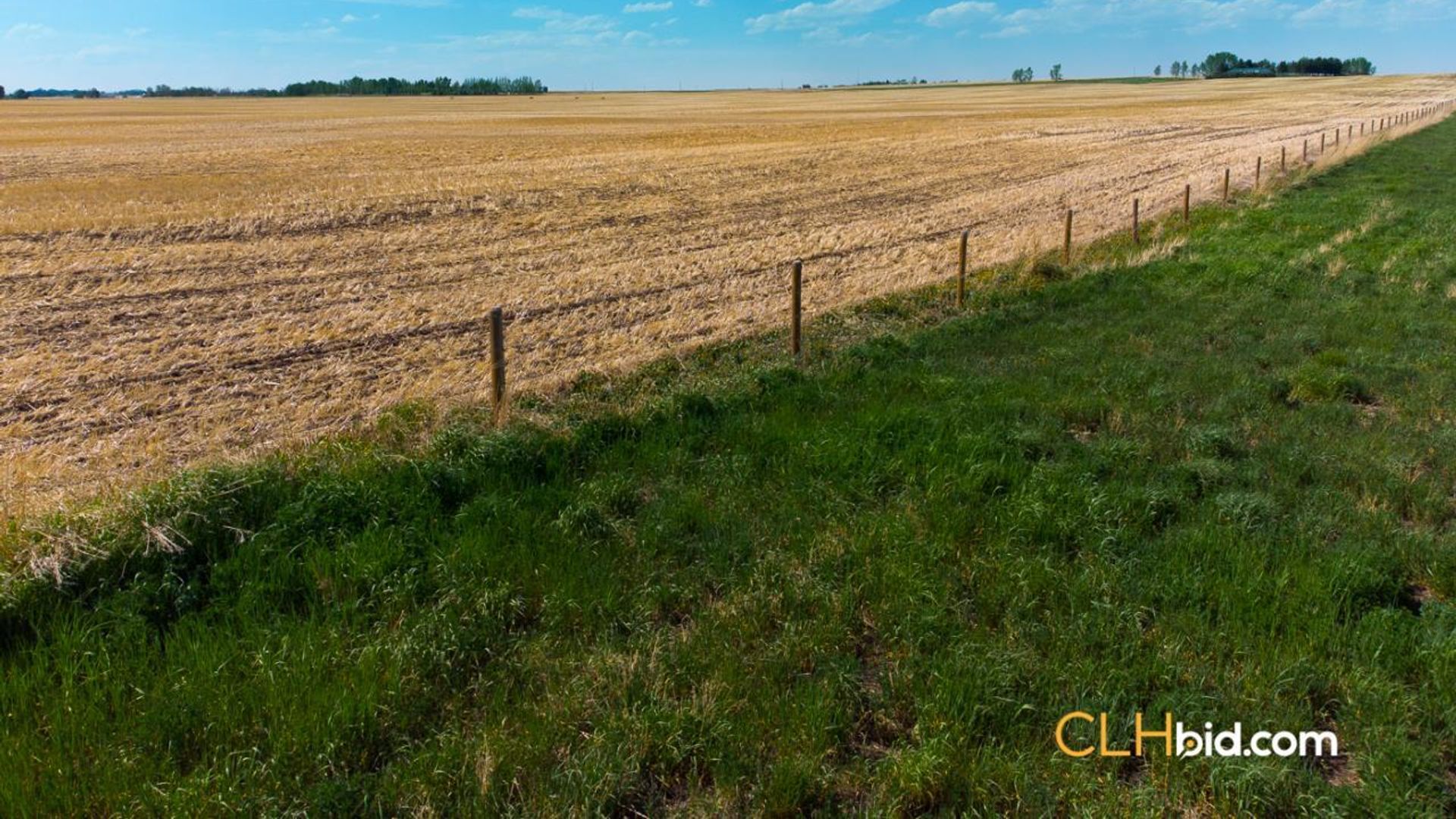 hartelllandrodeodrive-1-2