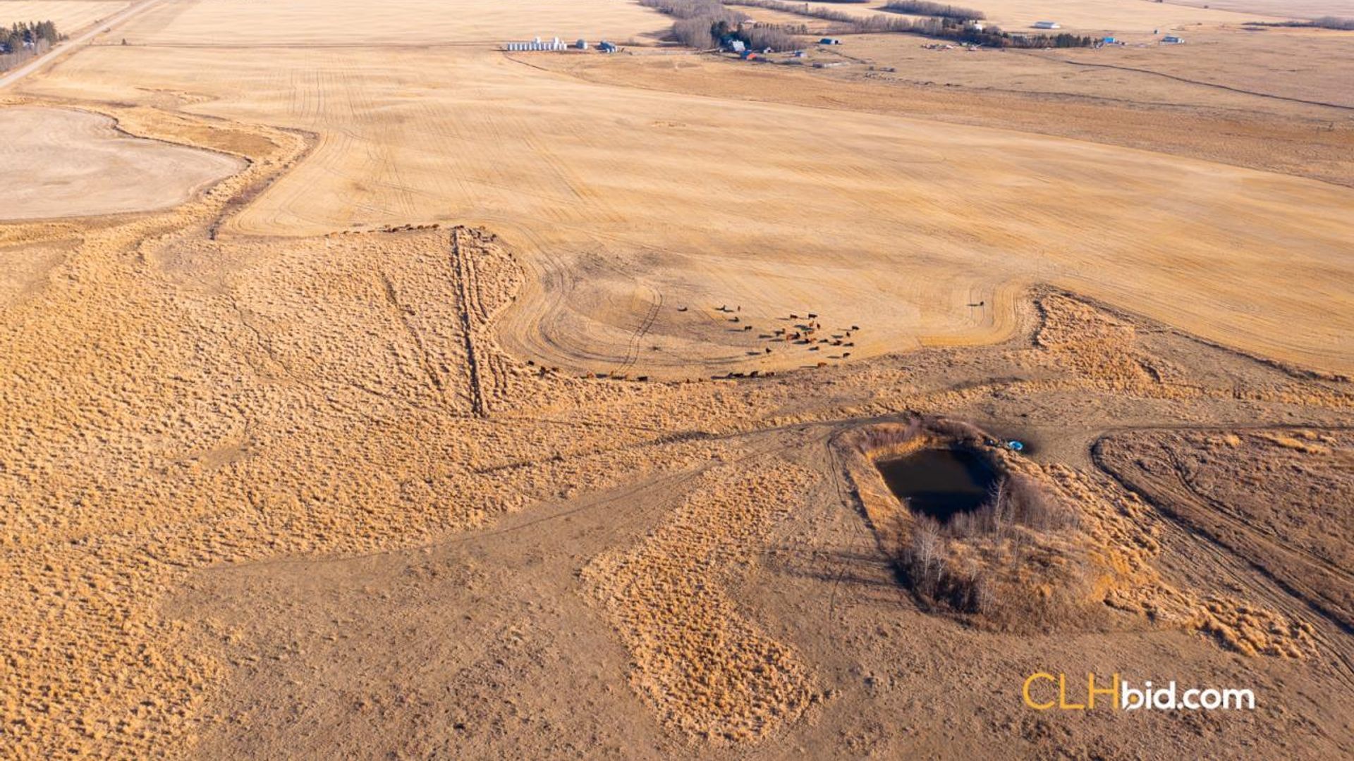 bentleycontinentalv8-2-13