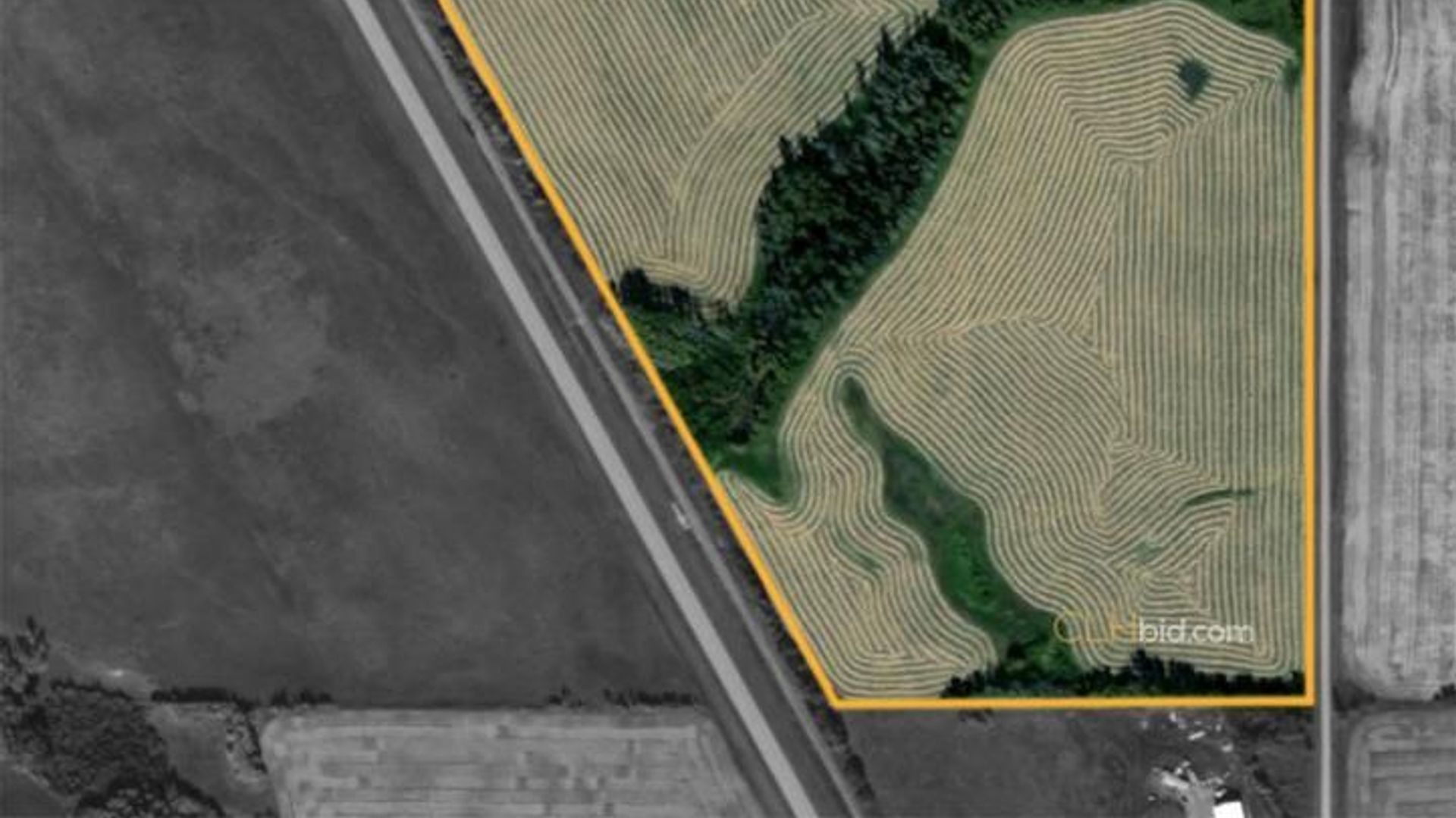 bentleycontinentalv8-8-5