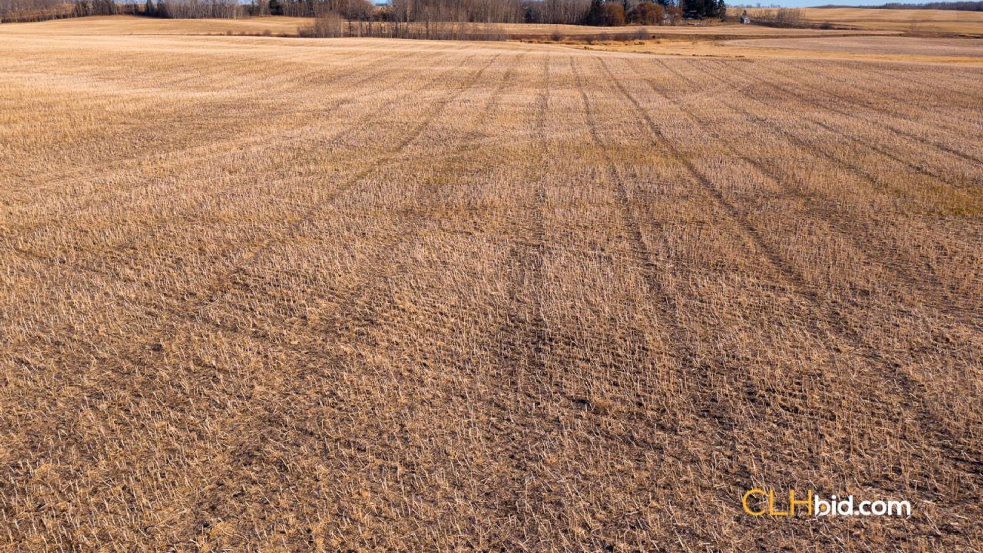 bentleycontinentalv8-1-2