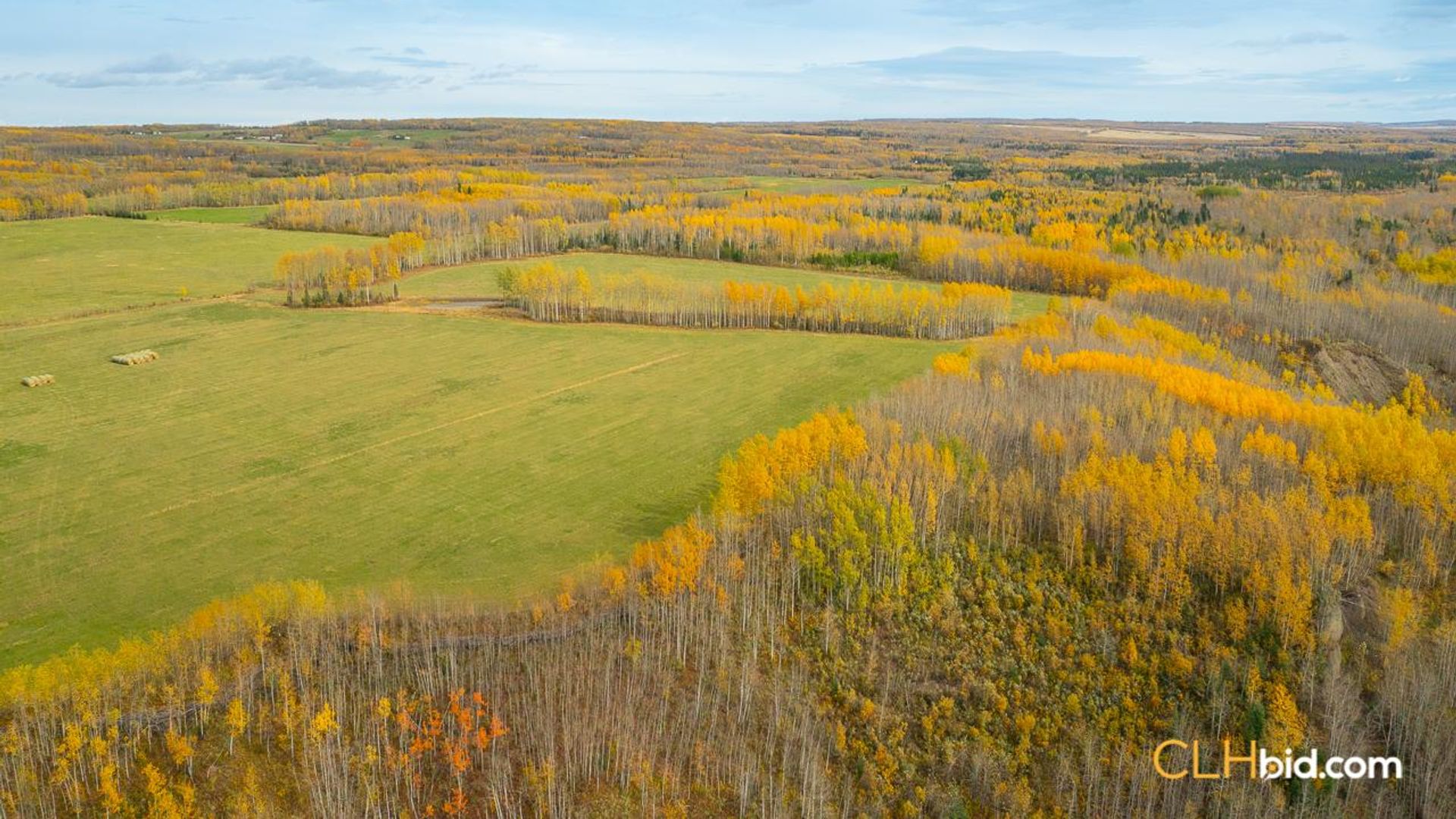 theranchonbradenroad-2-3