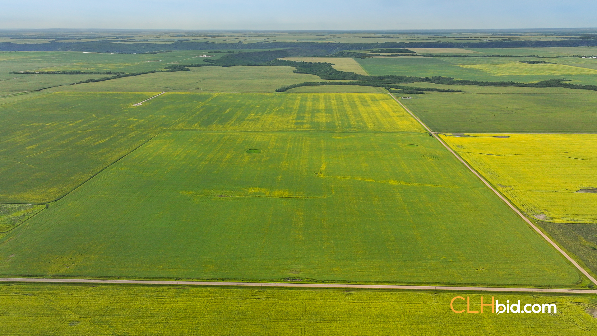 Web-GoldenFields-8