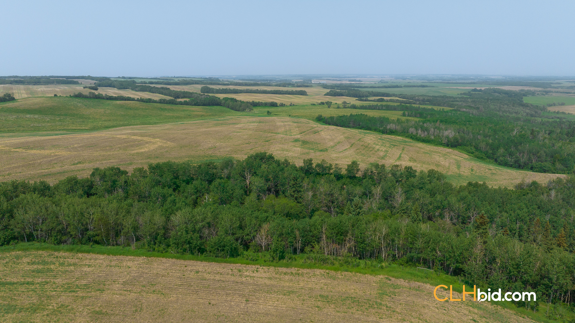 Web-Innisfree8Summer-30