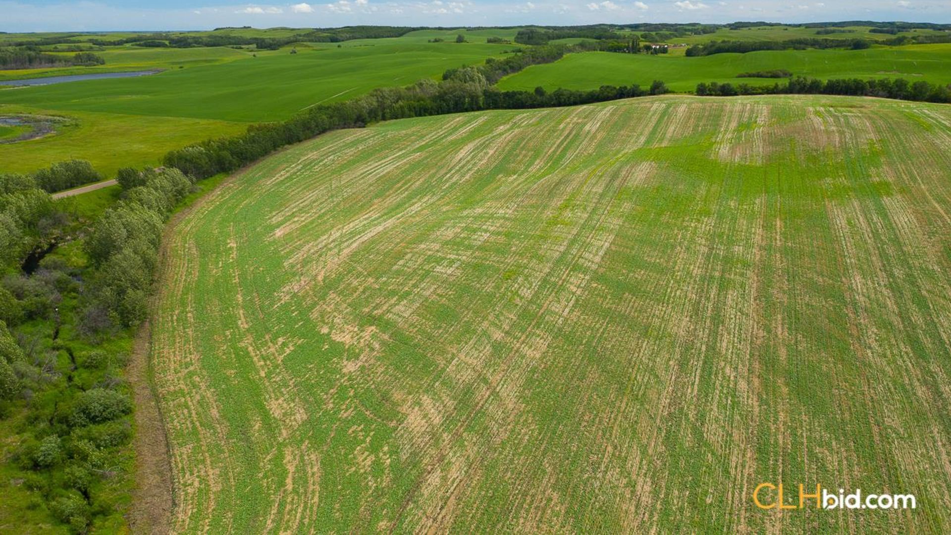 clandonaldcountrycousins-2-7