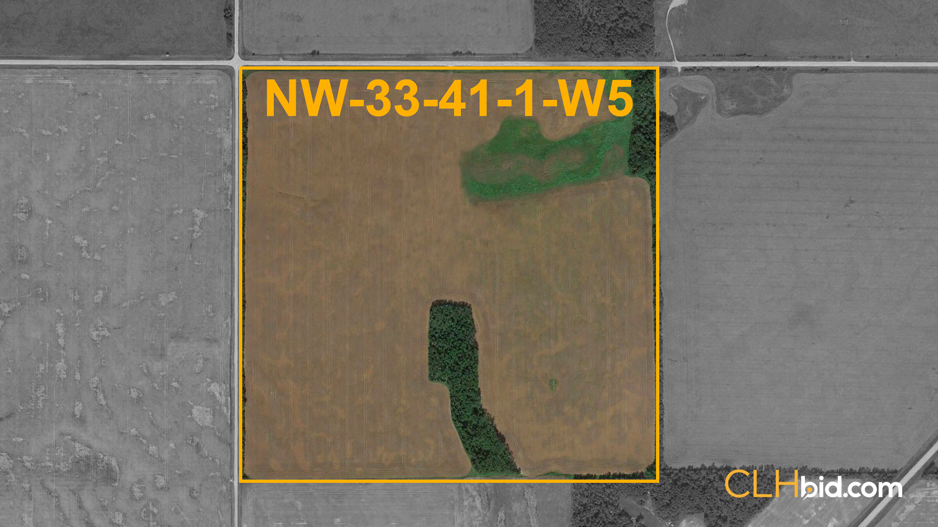 Bentley-Royalty-WIDE-Contentful