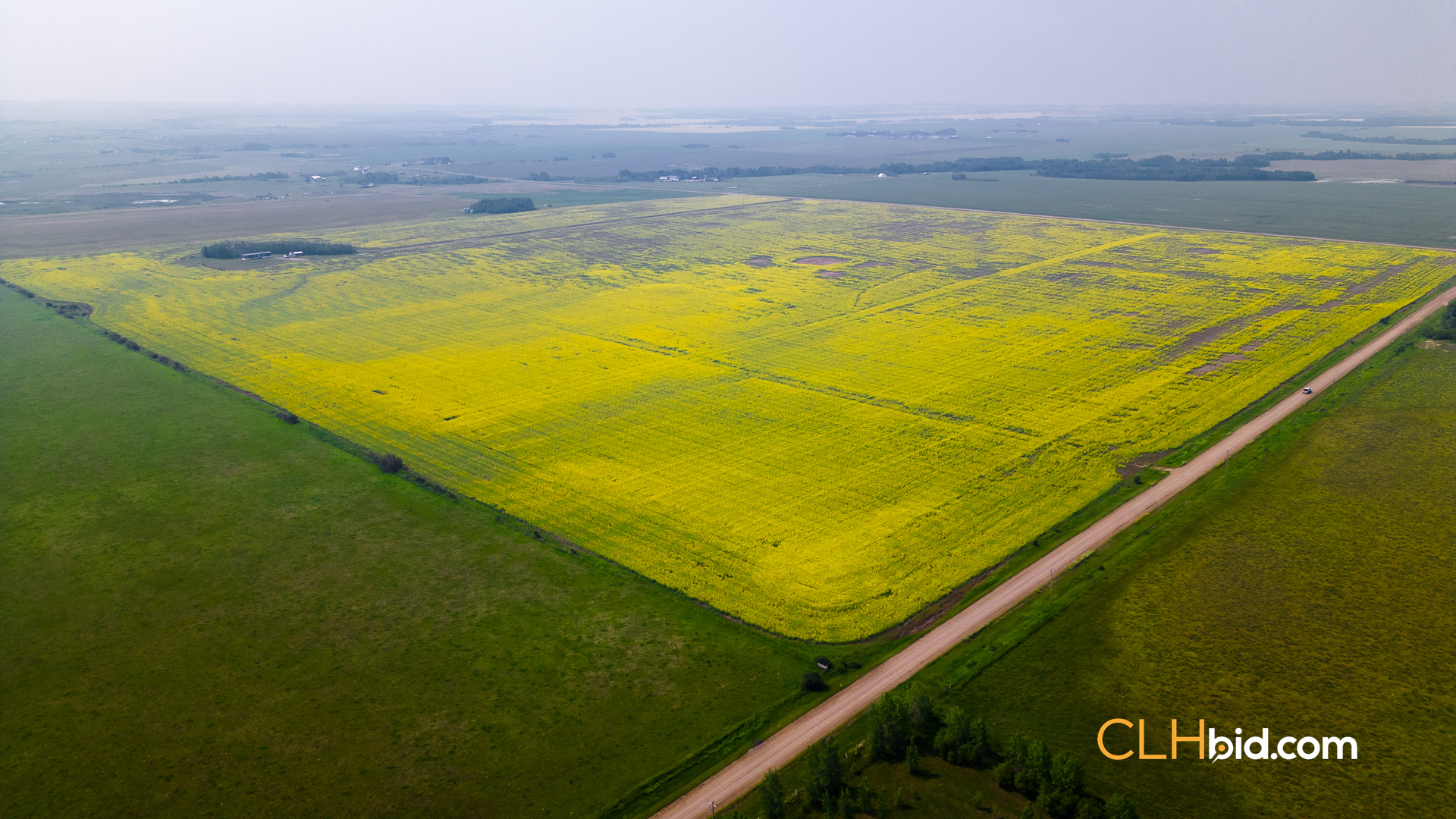 Web Sexsmith Serenity-8