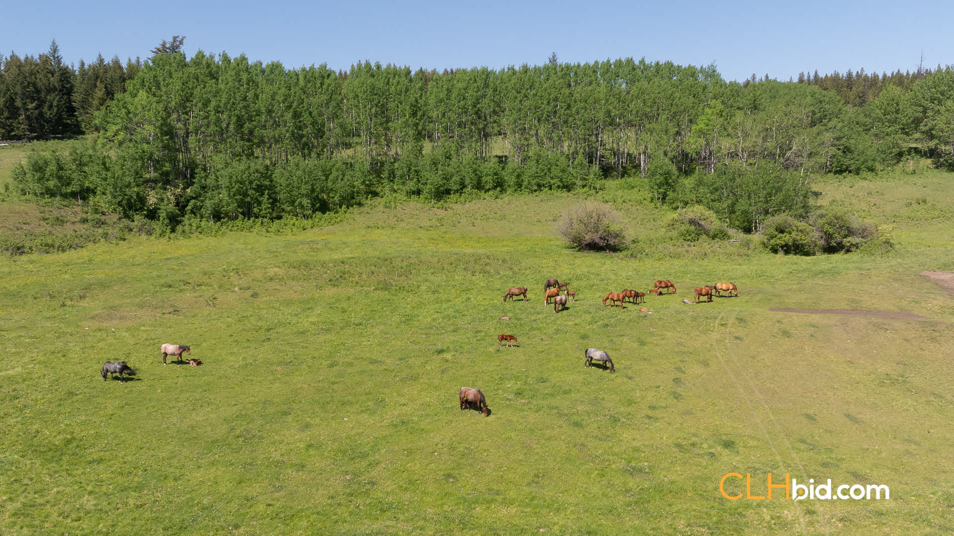 Web-CrystalWatersRanch-13