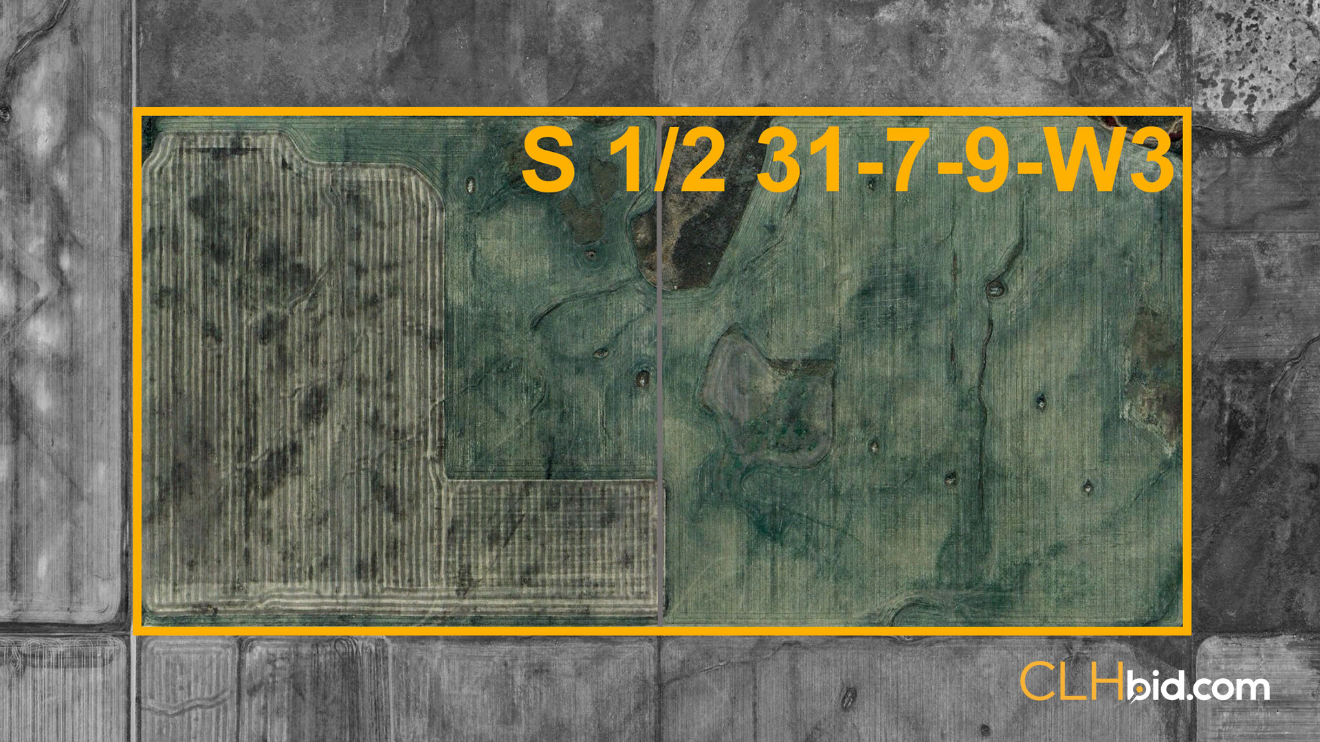 Hazenmore-On-My-Mind