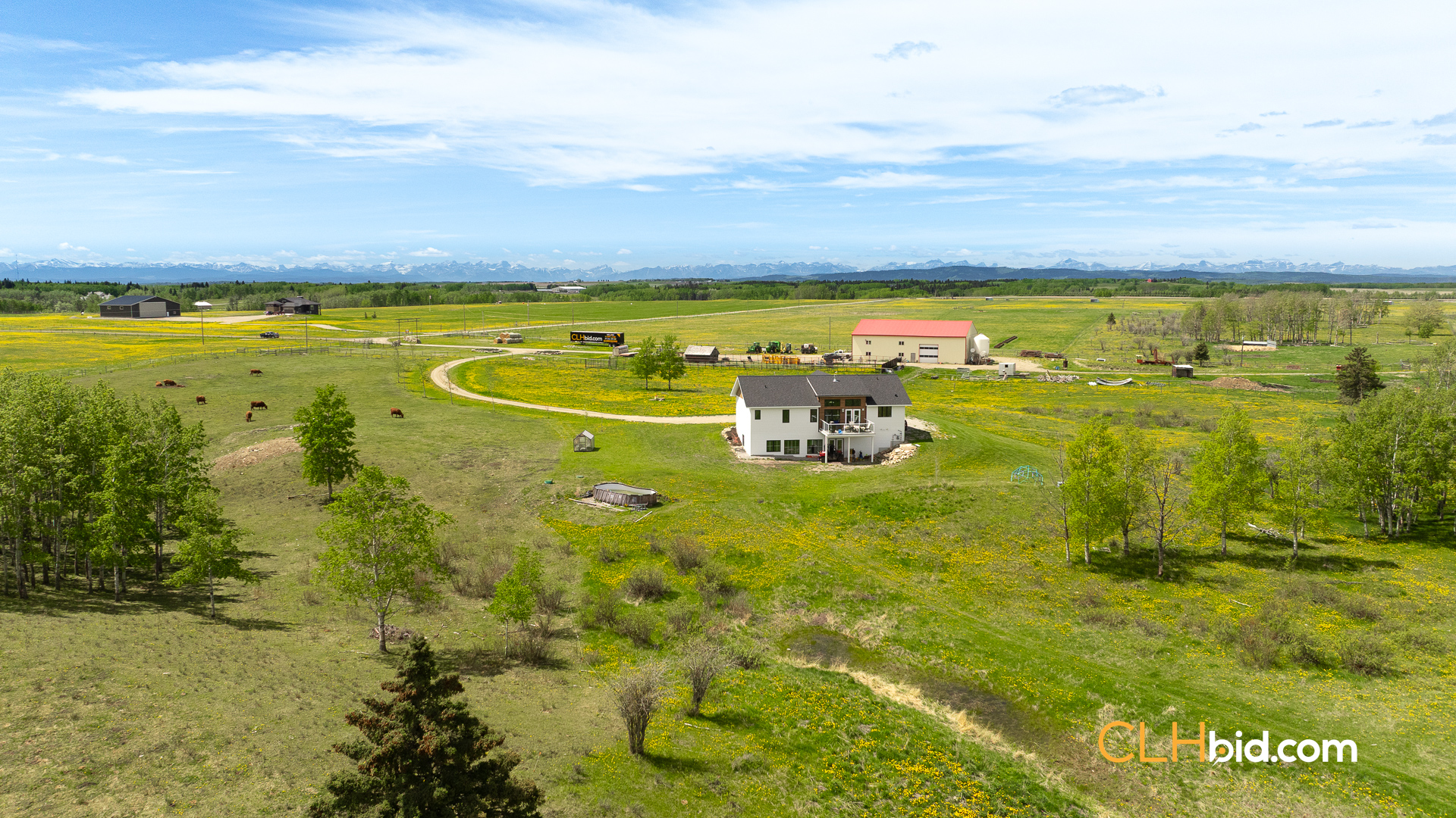 Web-CochraneDynastyJune-15