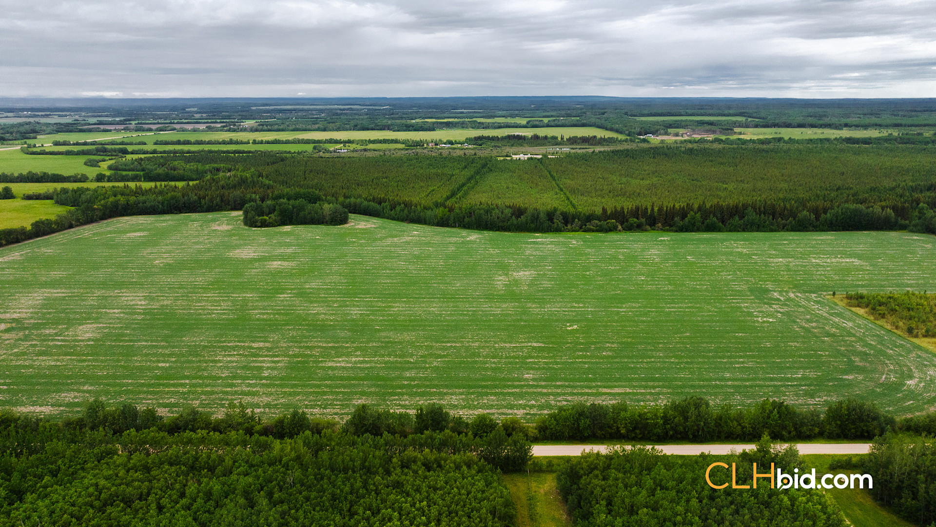 Web Triple Off Hwy 59-4