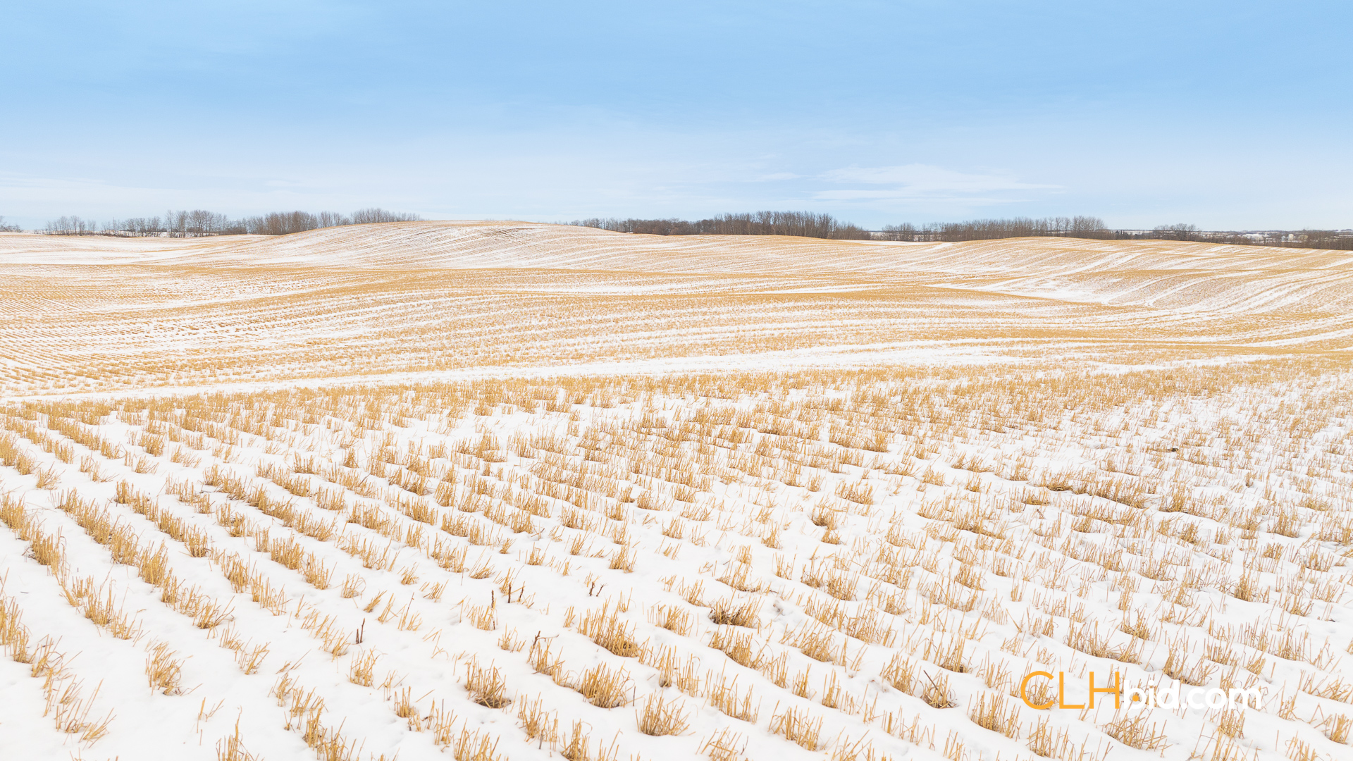 Web-InnisfreeBonus-11