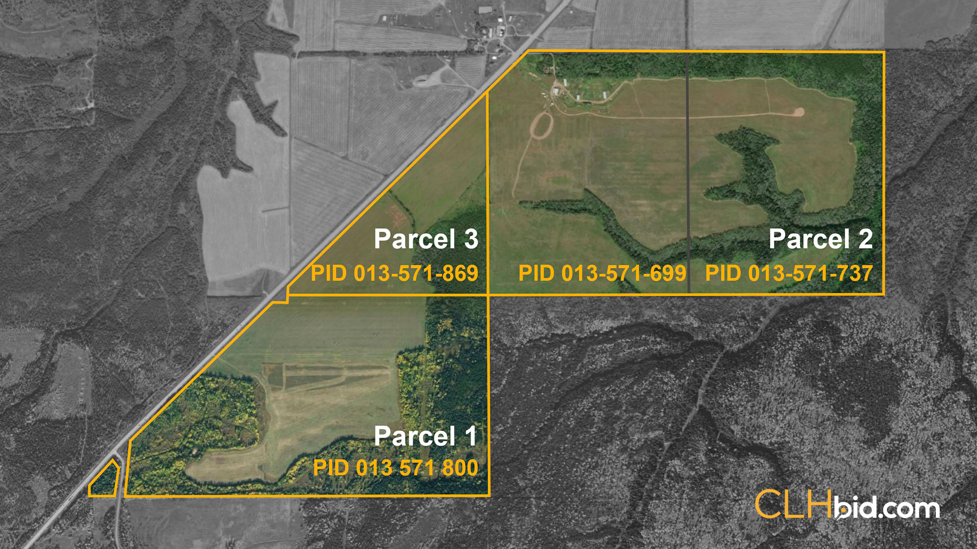 King George - WIDE Contentful