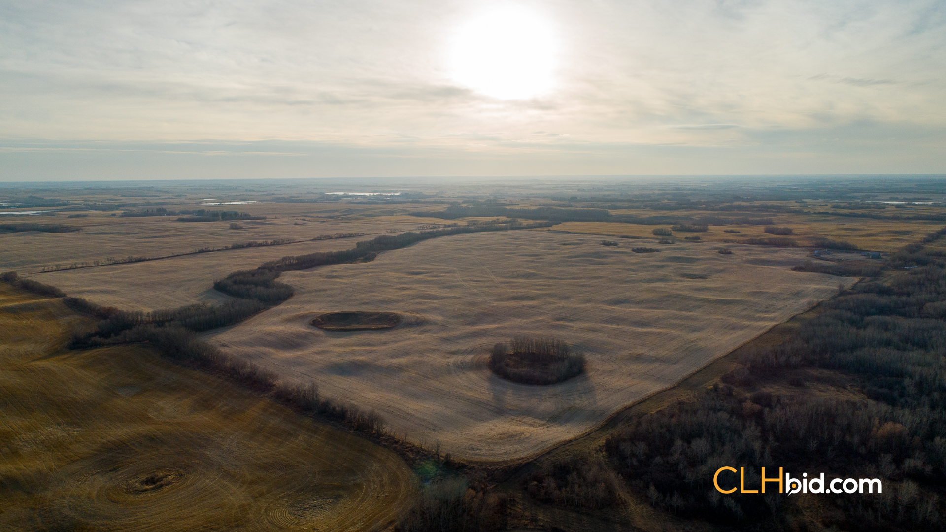 Web-Nine-Of-Diamonds-39