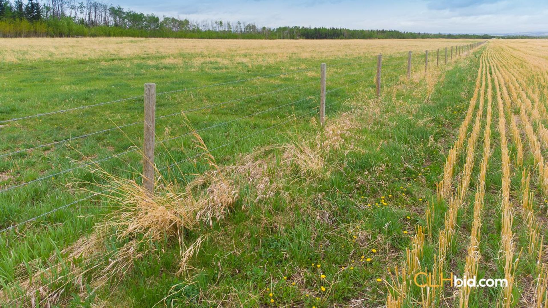 primetimeattheborder-2-4