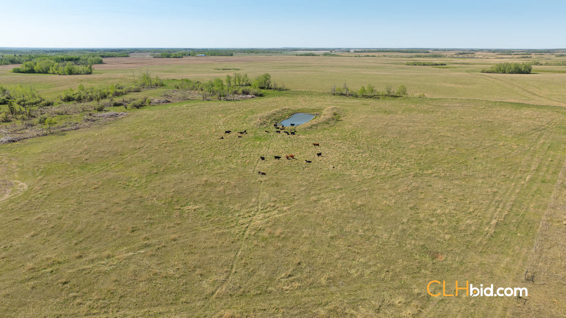 Web-AssiniboineRancher-19
