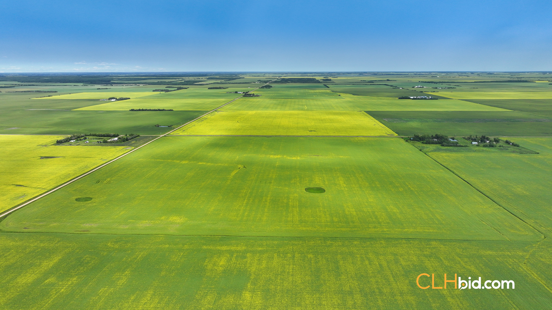 View from above of Golden Fields