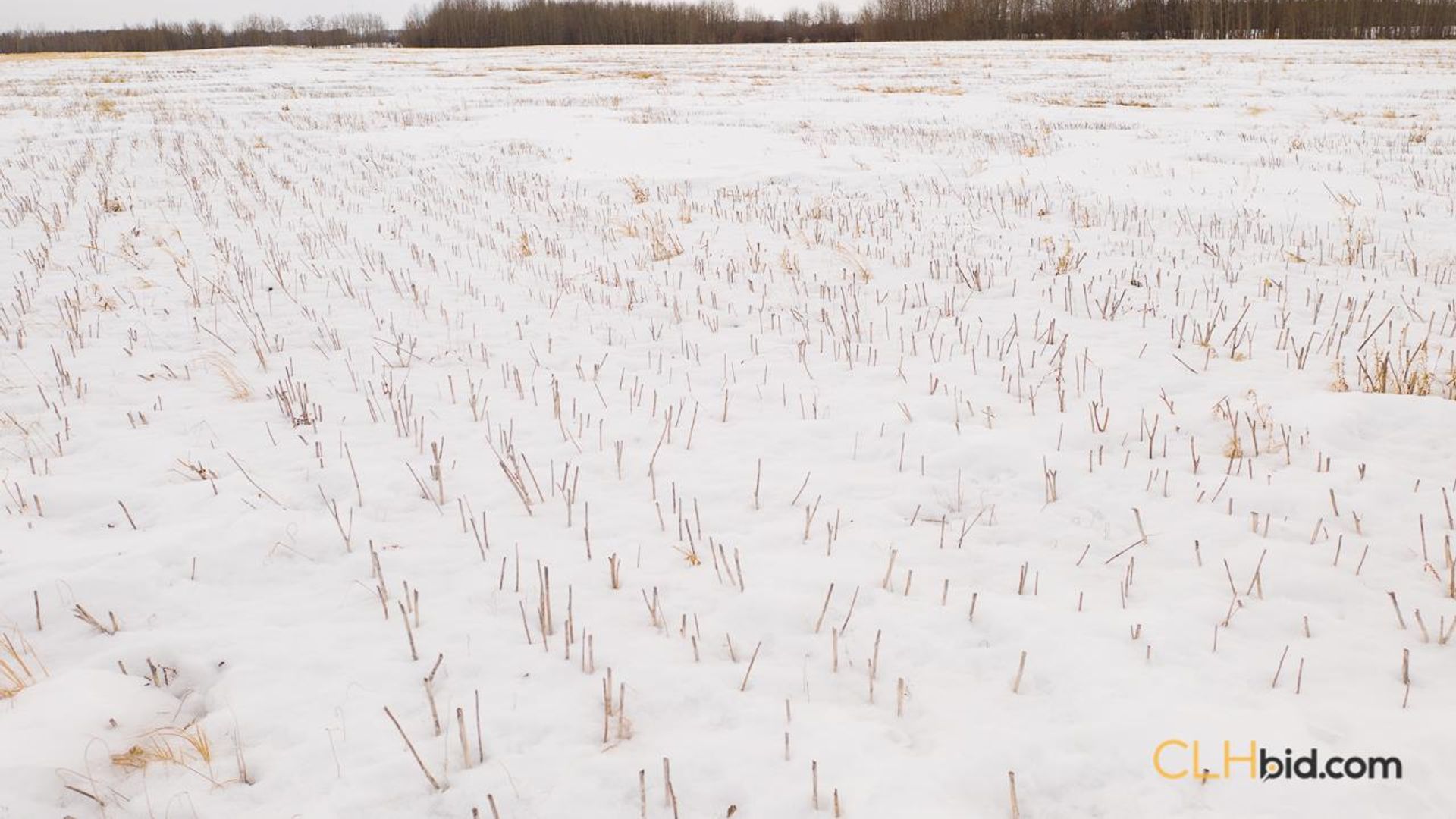 upperathabascaon813-1-9