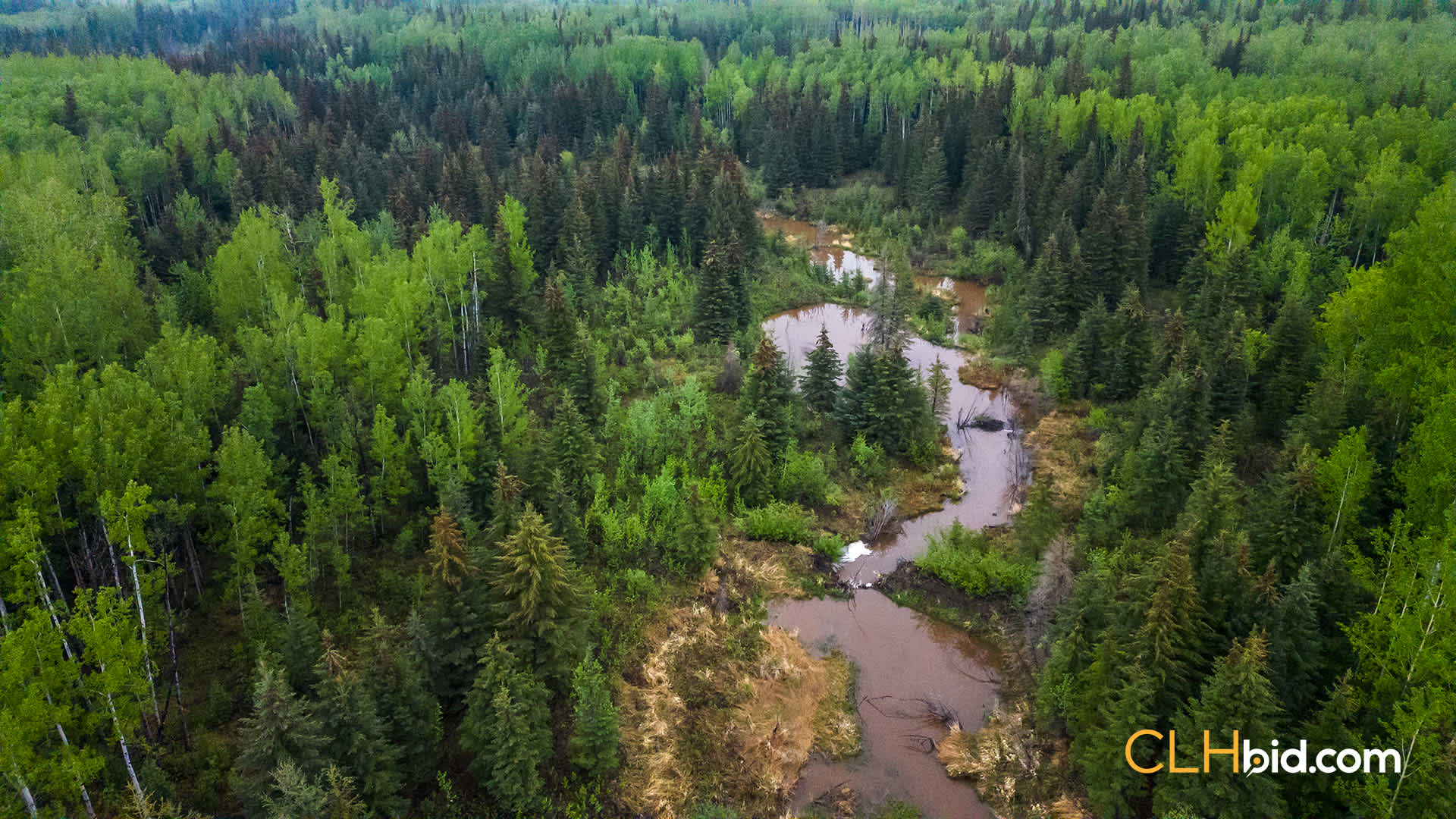 View from above of Saddle Hills Grazer