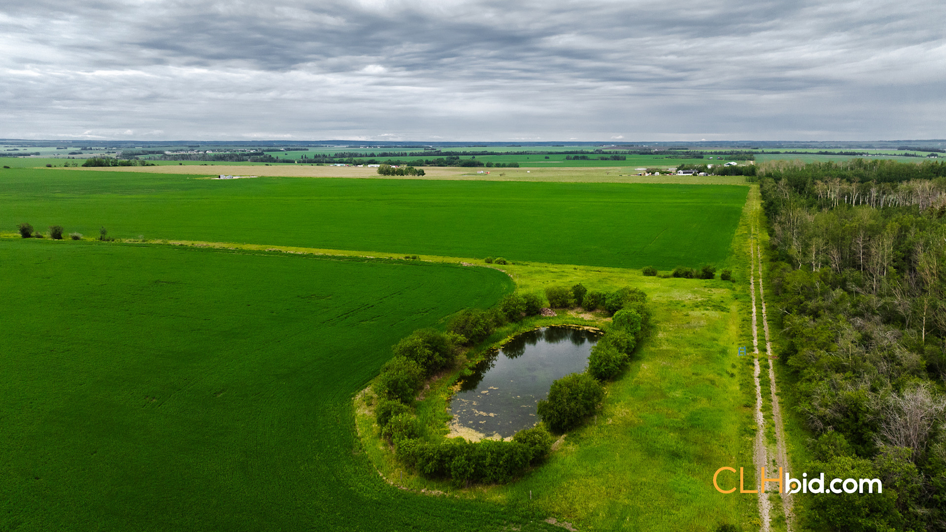 Web Triple Off Hwy 59-10