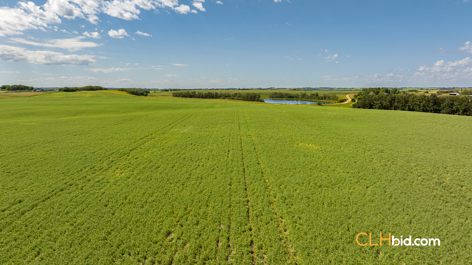 Web-Two-Hills-Next-Level-UPDATED-13