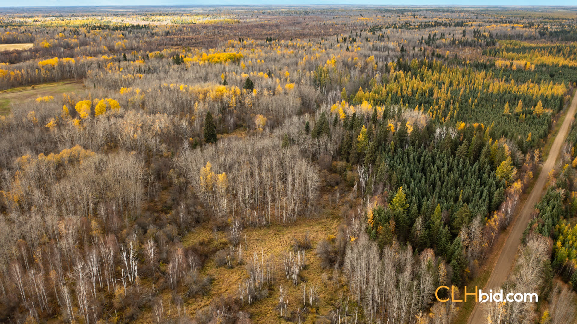 Web-Boreal-8