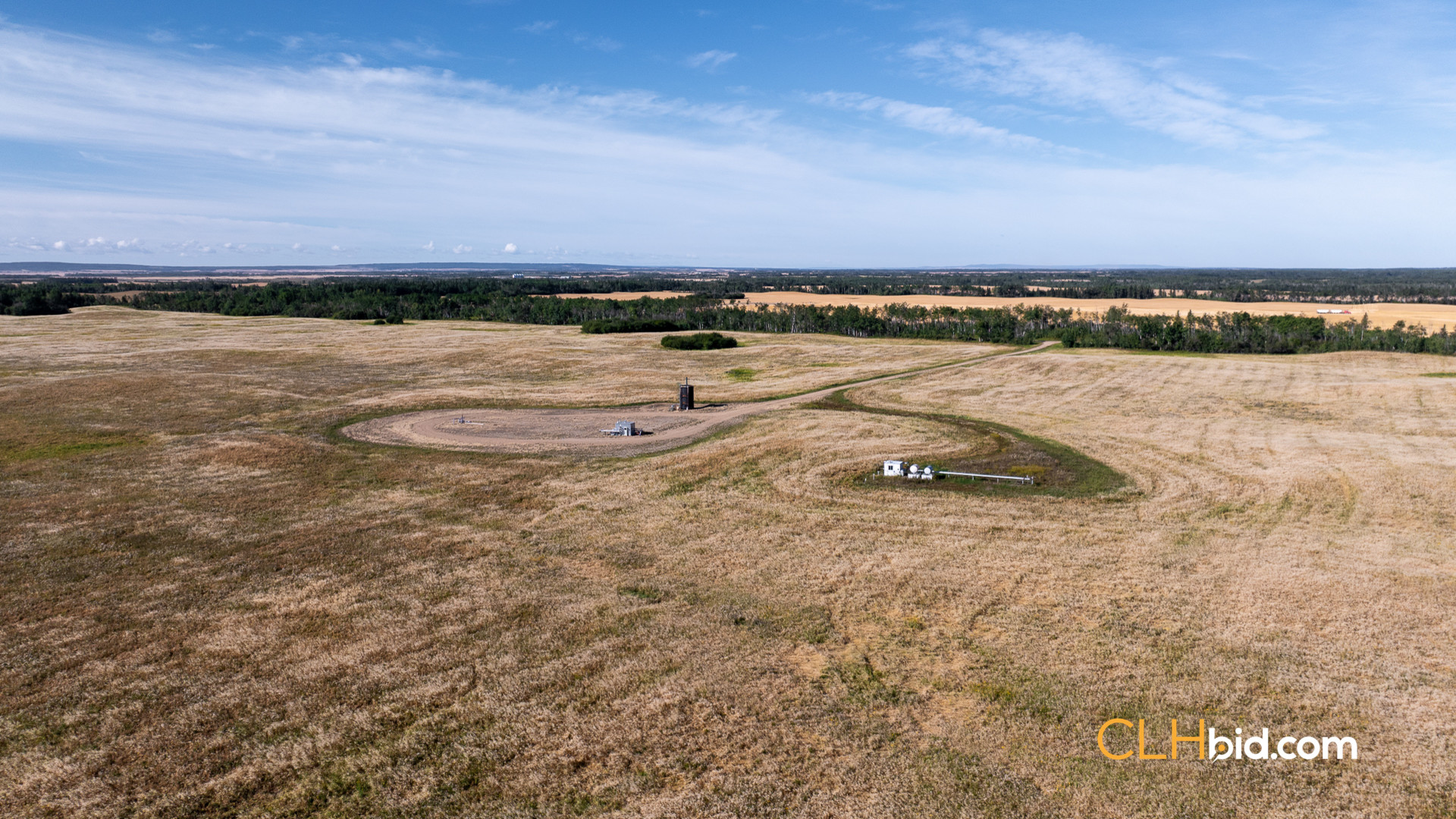 Web Veteran Legacy-7