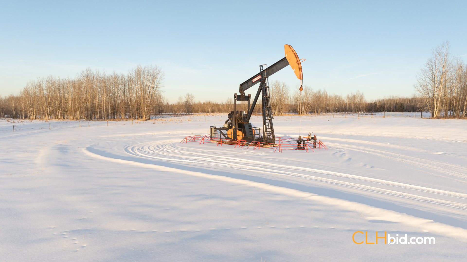 Web169-AcresOfPedigree-3