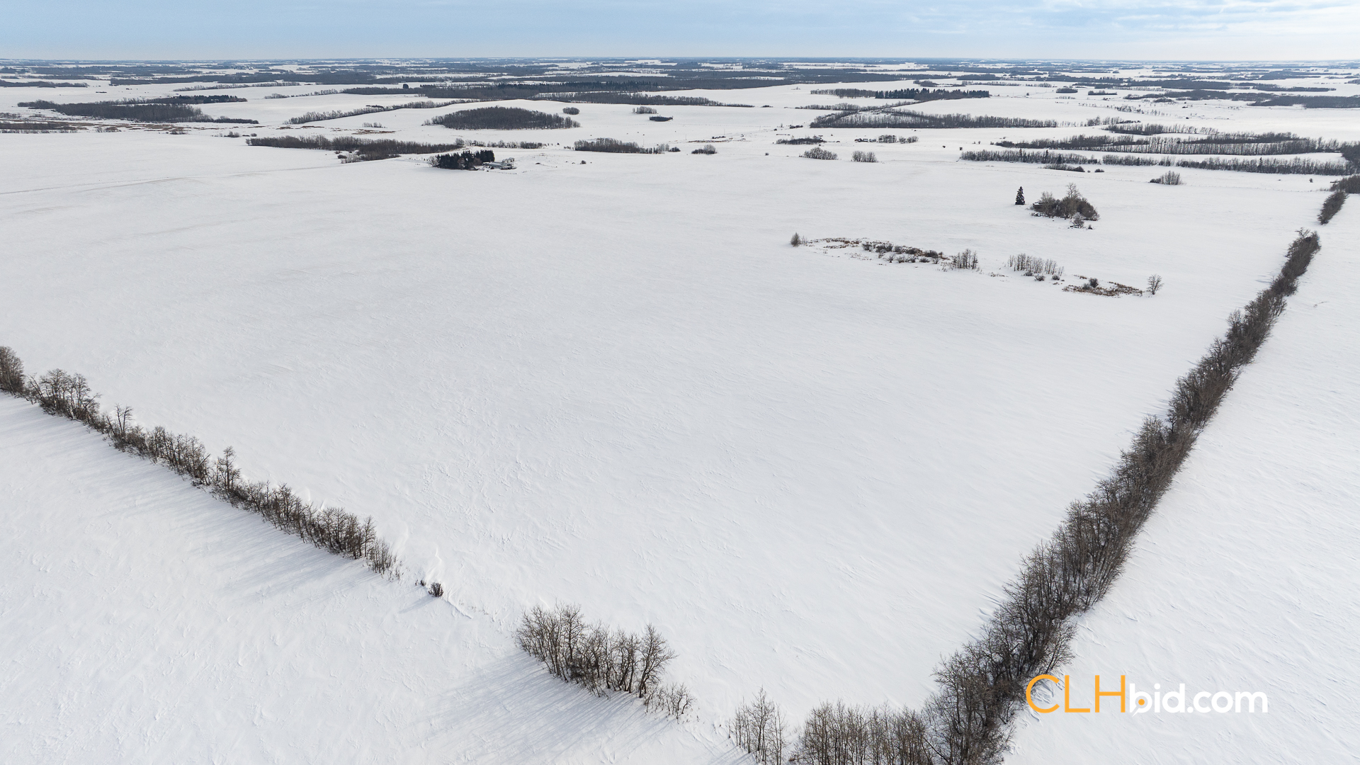 Web-LamontTopGrade-5