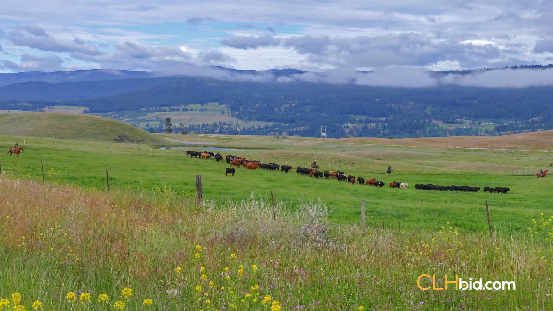 View from above of The Jura Ranch