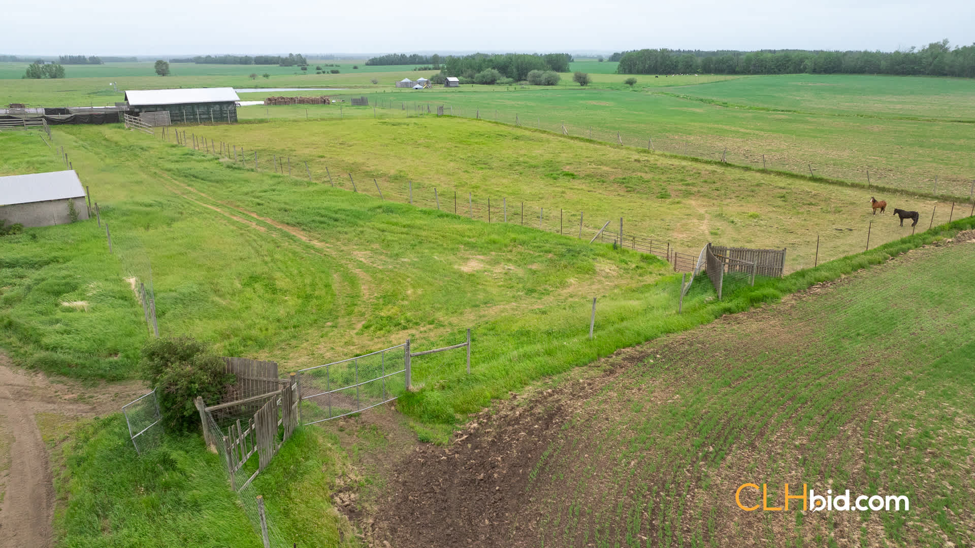 Web-Calmar-7